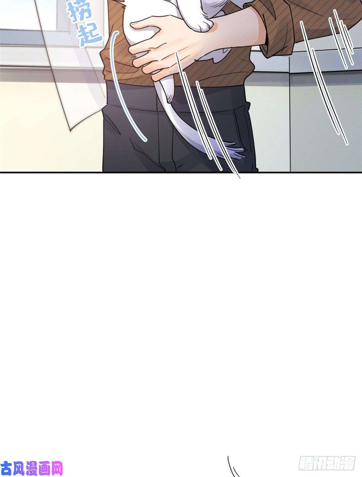 今天也要努力当只猫第13话 我的初吻TAT