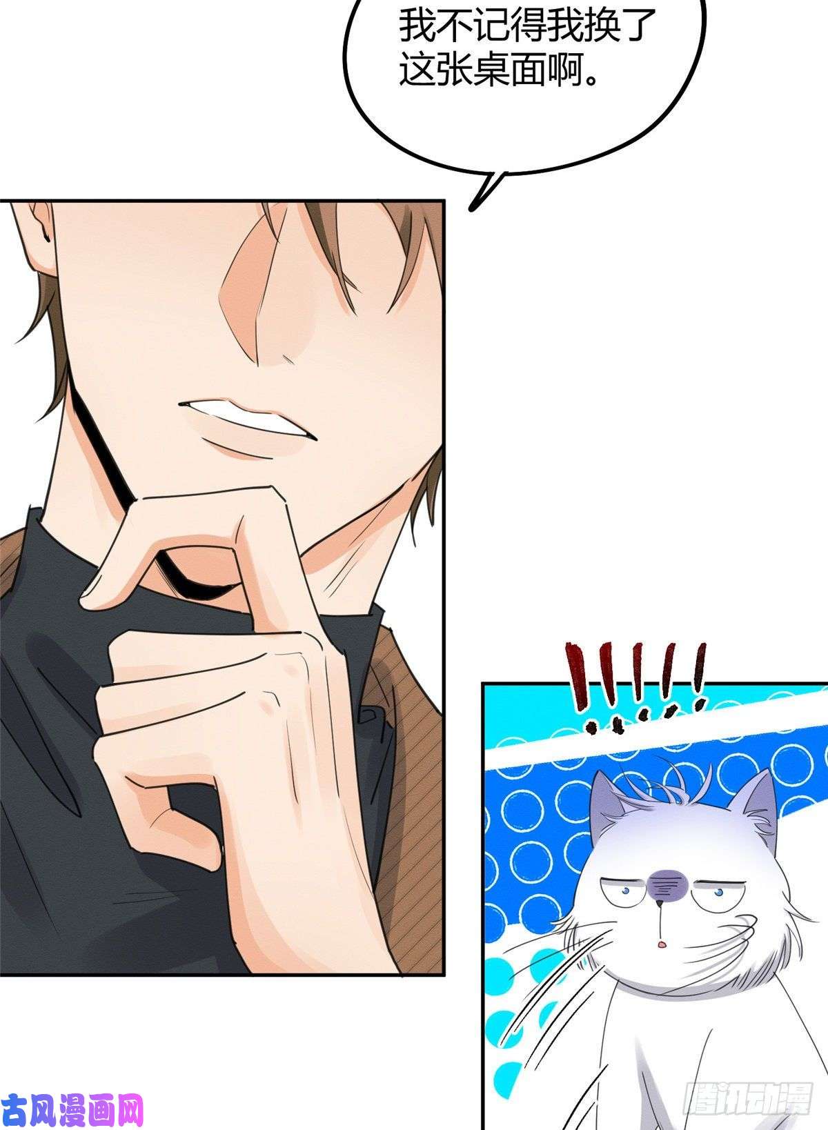 今天也要努力当只猫第13话 我的初吻TAT