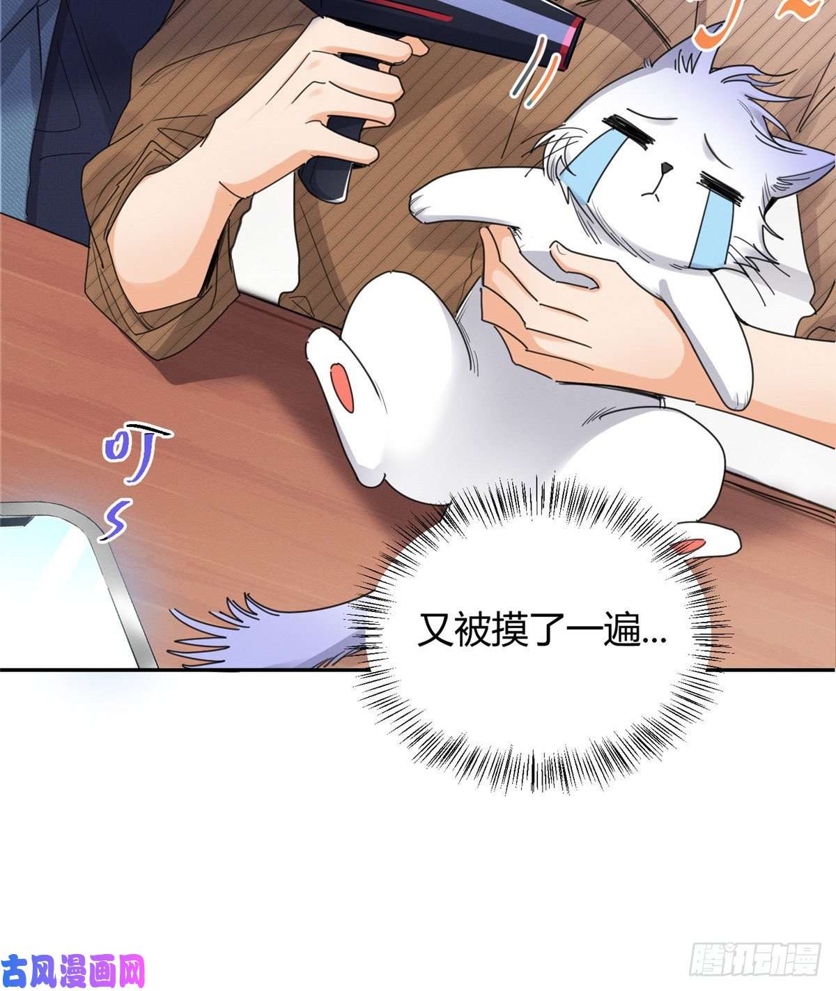 今天也要努力当只猫第13话 我的初吻TAT