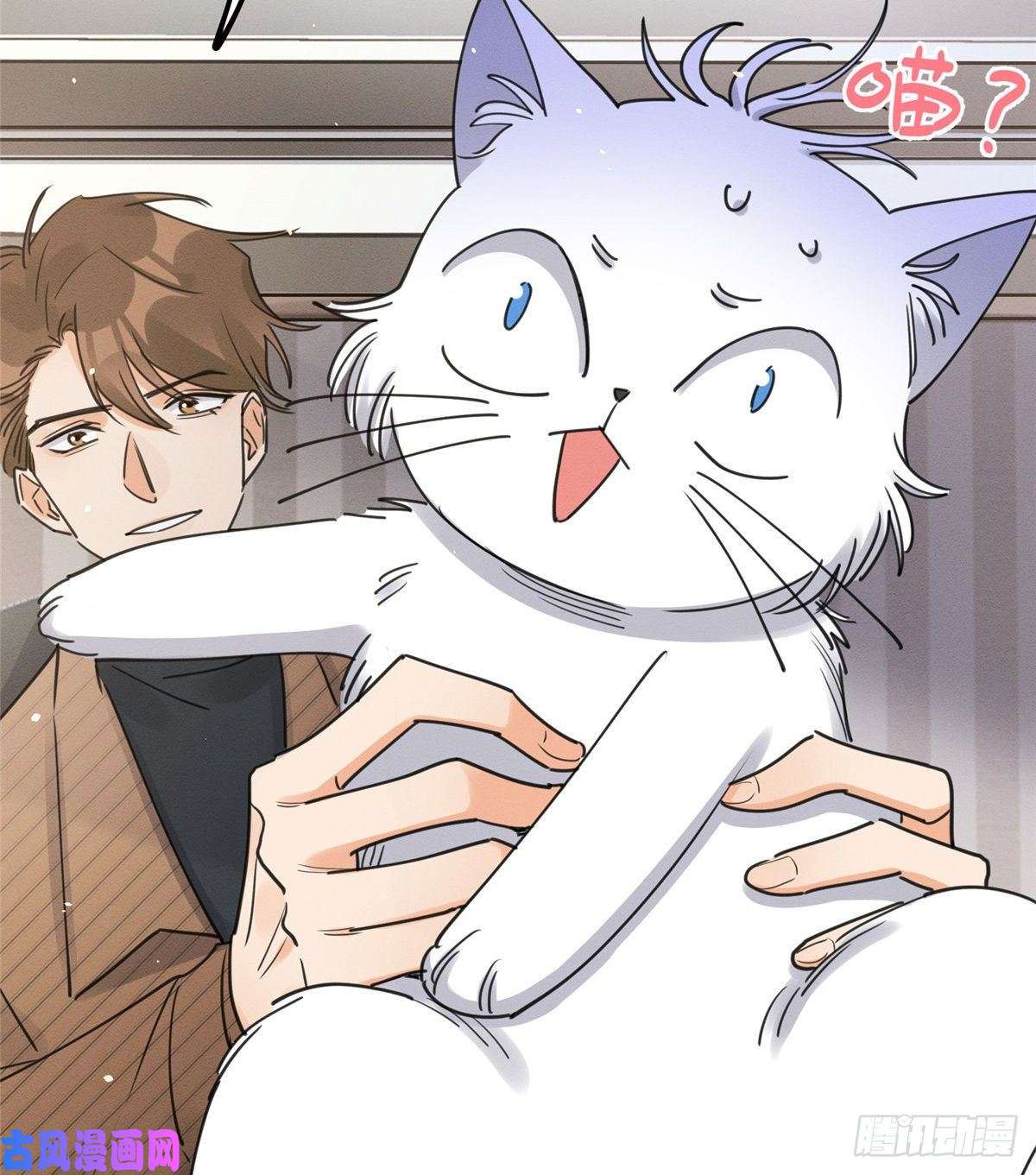 今天也要努力当只猫第13话 我的初吻TAT