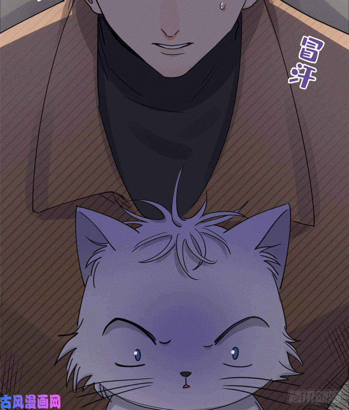 今天也要努力当只猫第13话 我的初吻TAT