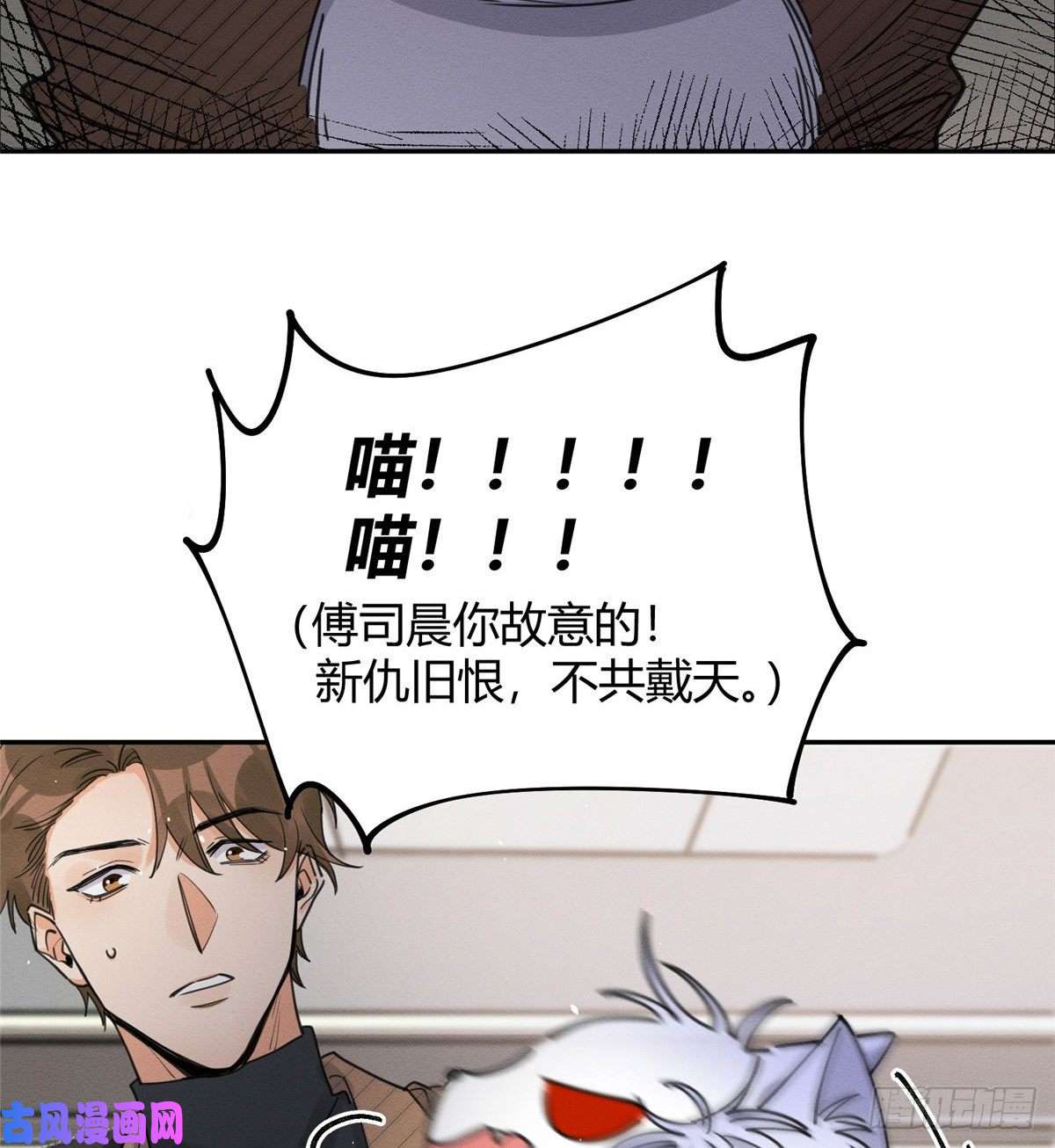 今天也要努力当只猫第13话 我的初吻TAT