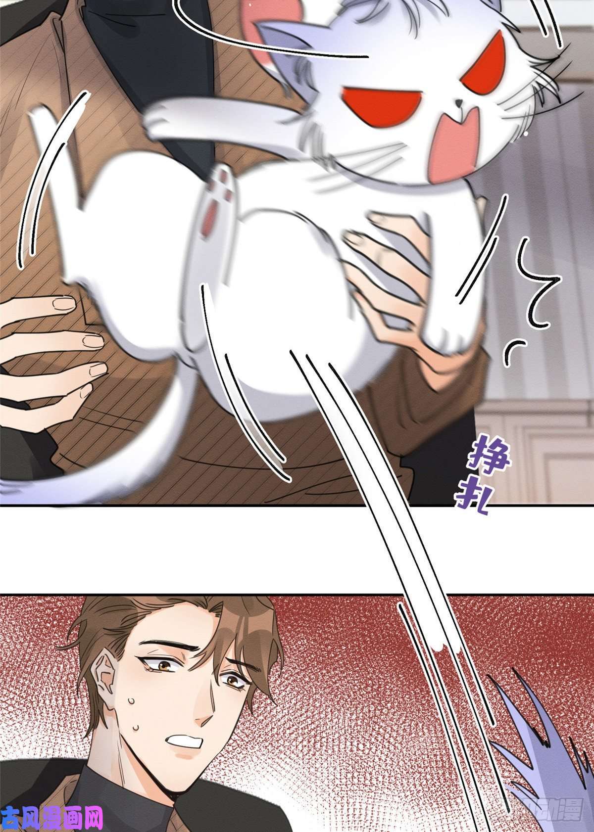 今天也要努力当只猫第13话 我的初吻TAT