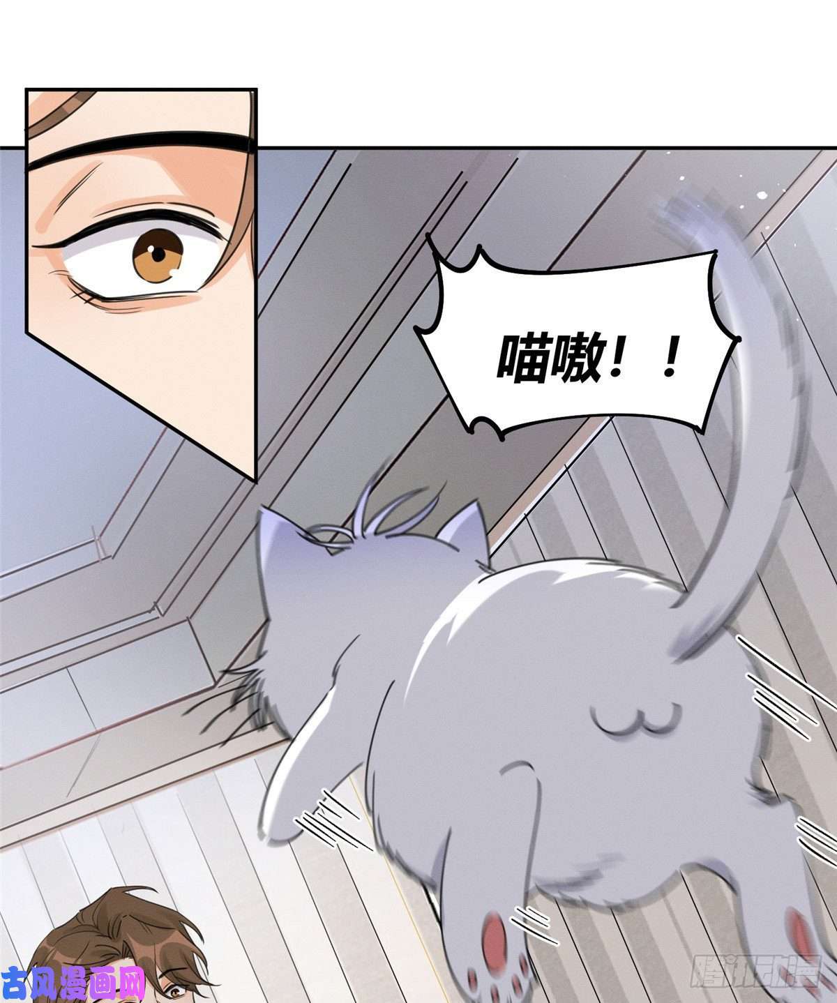 今天也要努力当只猫第13话 我的初吻TAT