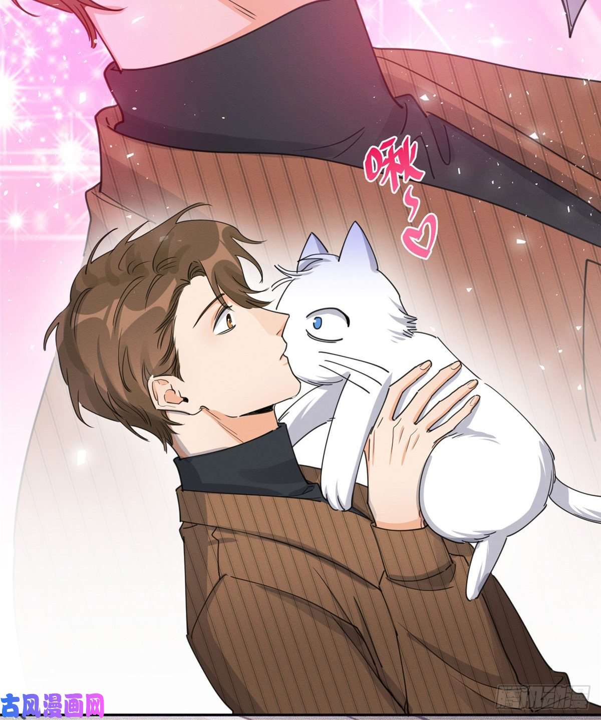 今天也要努力当只猫第13话 我的初吻TAT