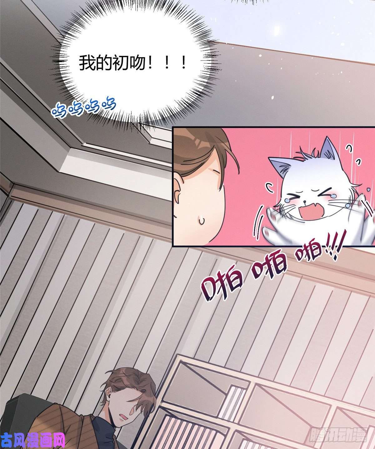 今天也要努力当只猫第13话 我的初吻TAT