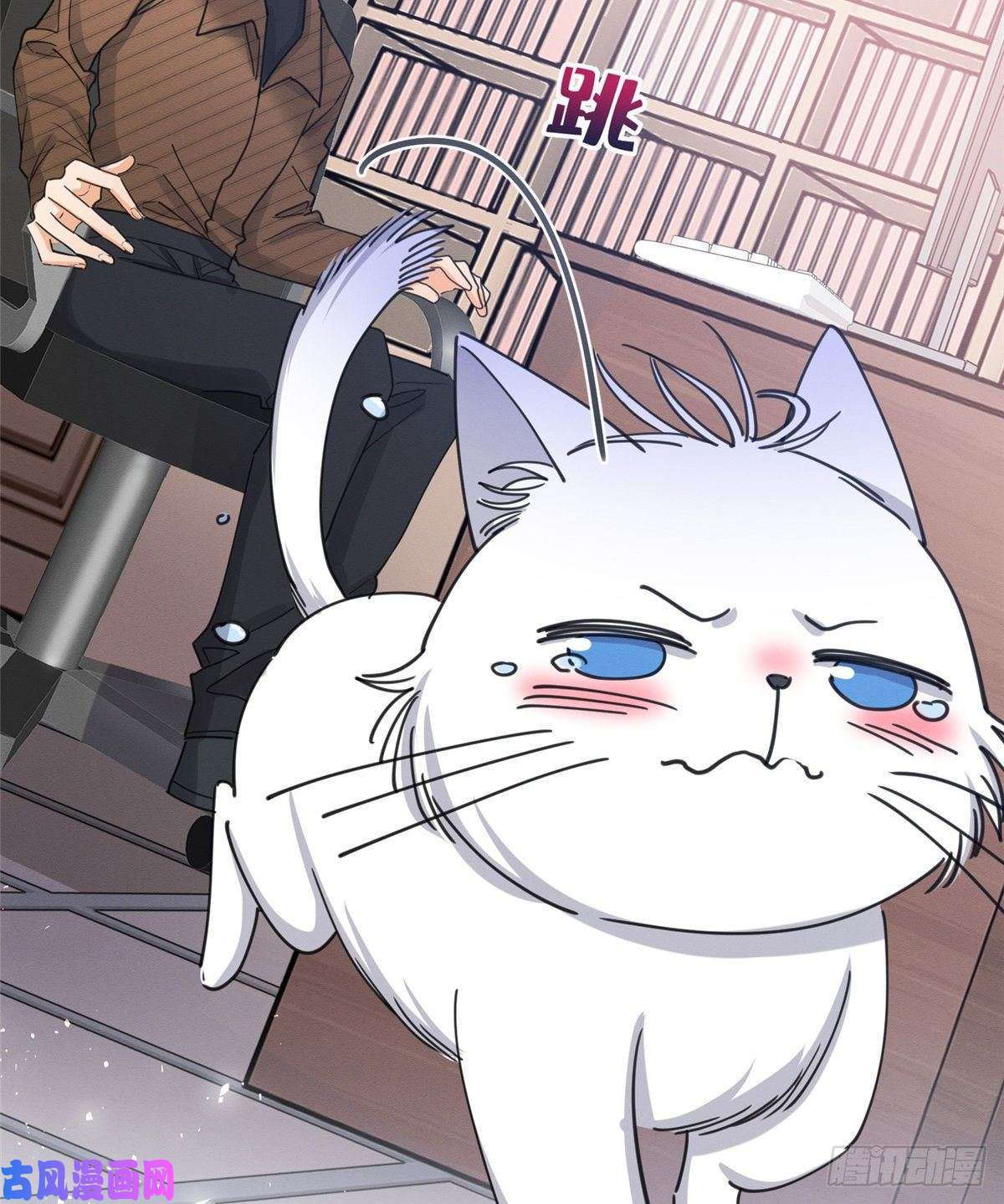 今天也要努力当只猫第13话 我的初吻TAT