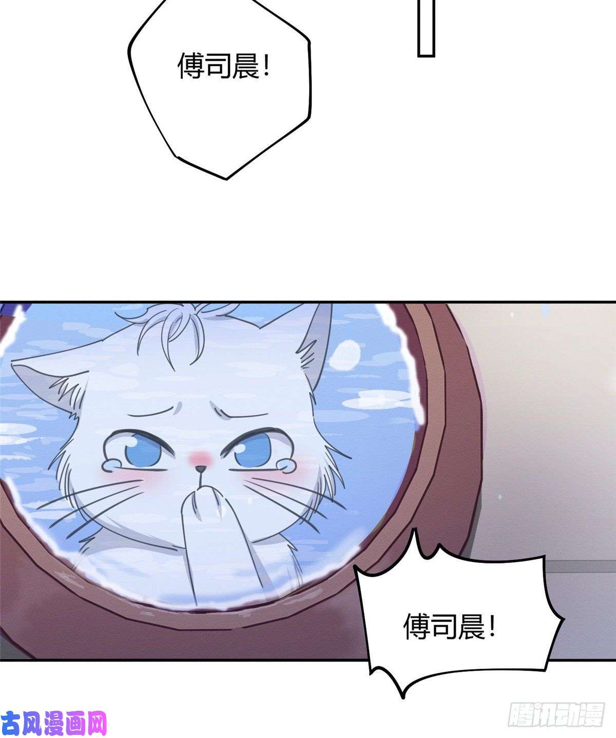 今天也要努力当只猫第13话 我的初吻TAT