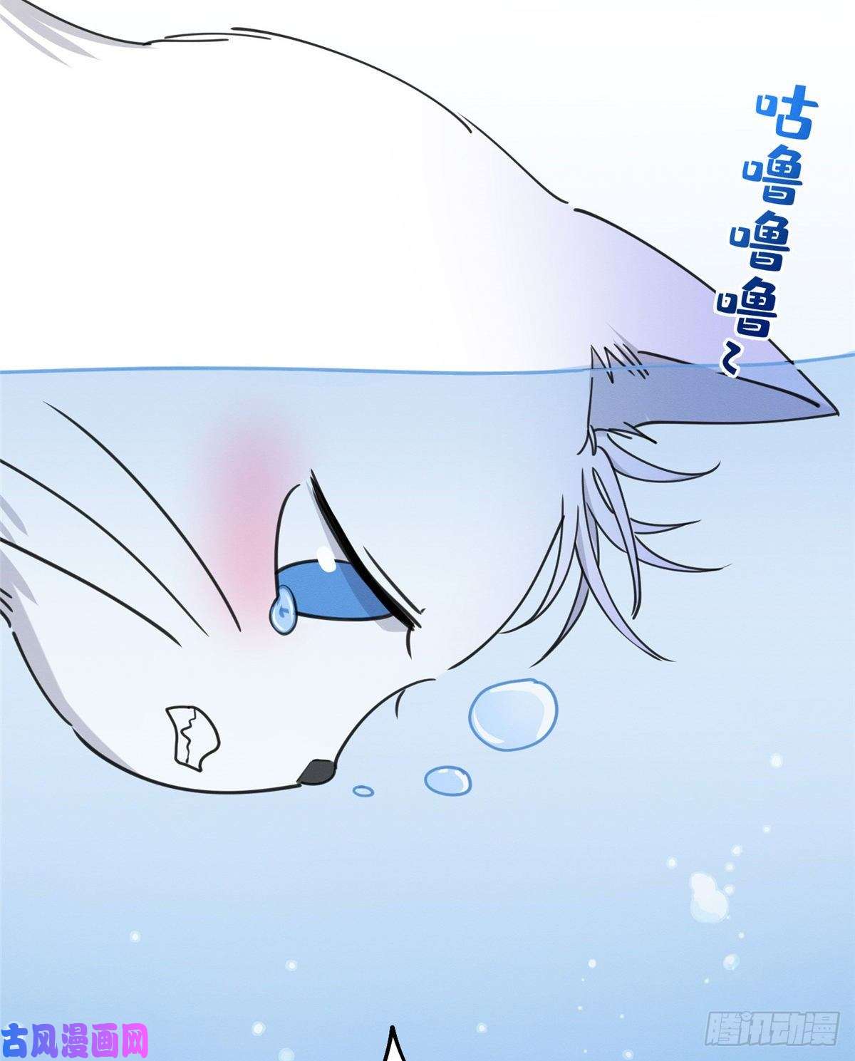 今天也要努力当只猫第13话 我的初吻TAT