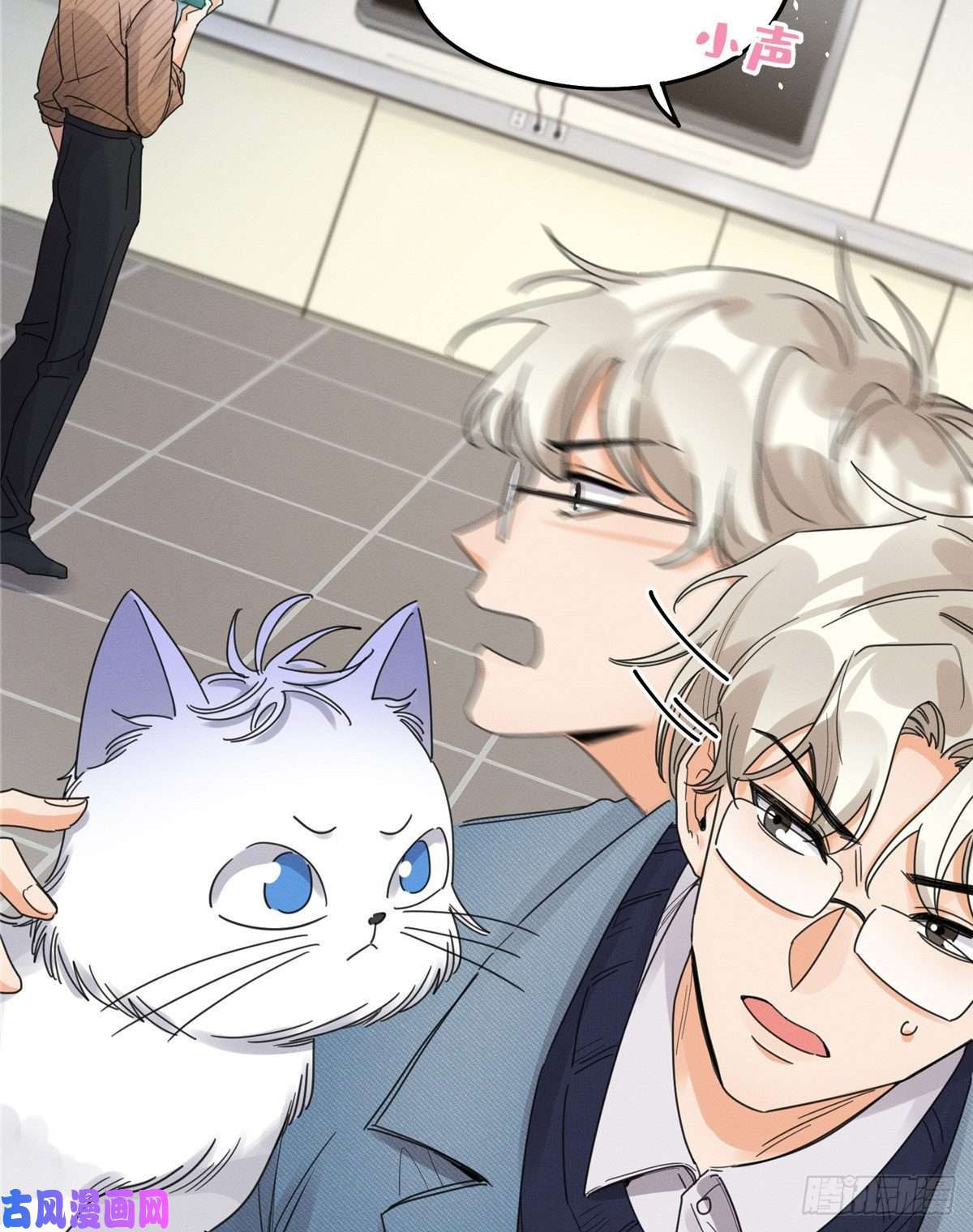 今天也要努力当只猫第13话 我的初吻TAT