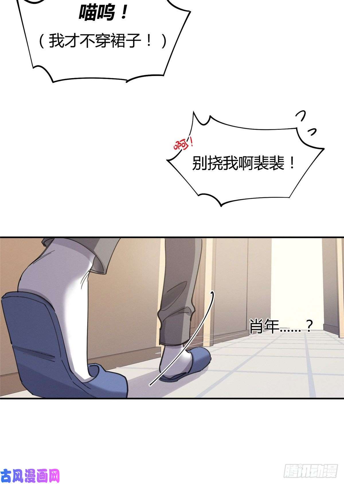 今天也要努力当只猫第14话 小仙女