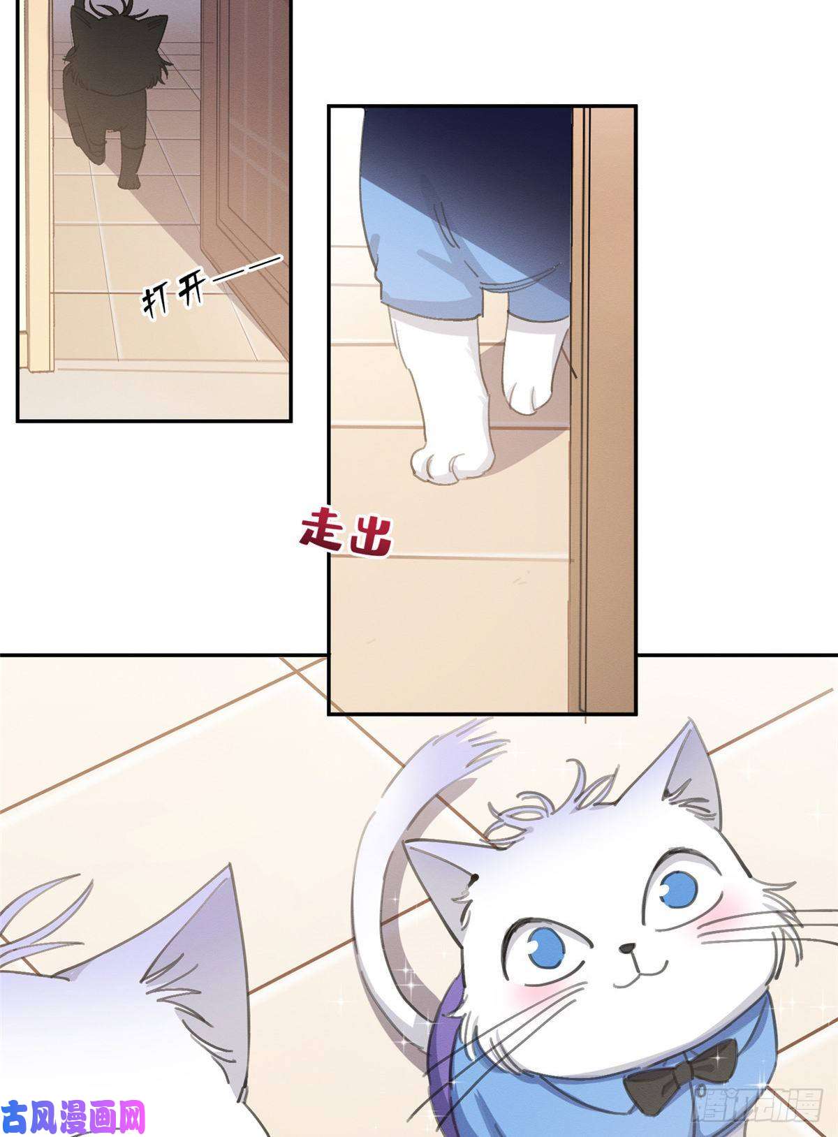 今天也要努力当只猫第14话 小仙女