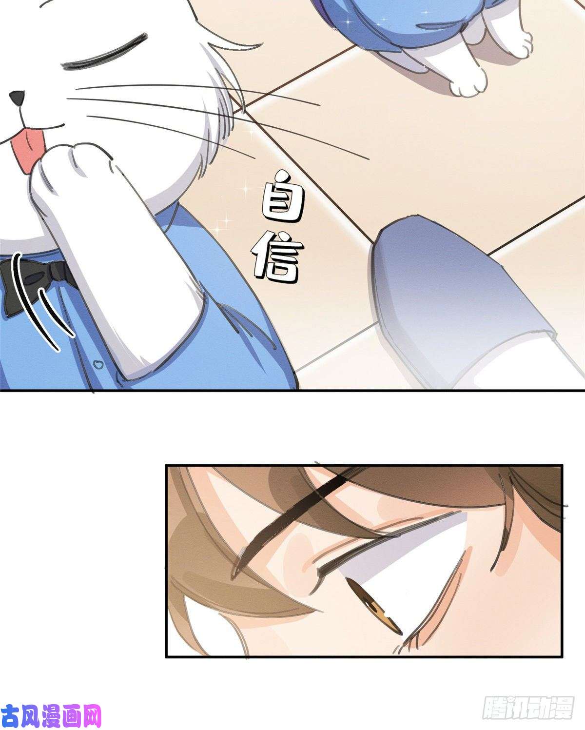 今天也要努力当只猫第14话 小仙女