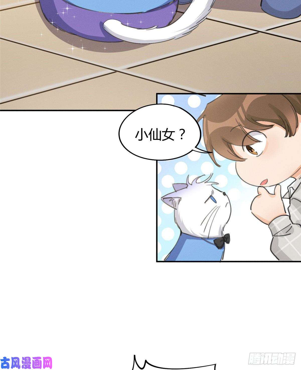 今天也要努力当只猫第14话 小仙女