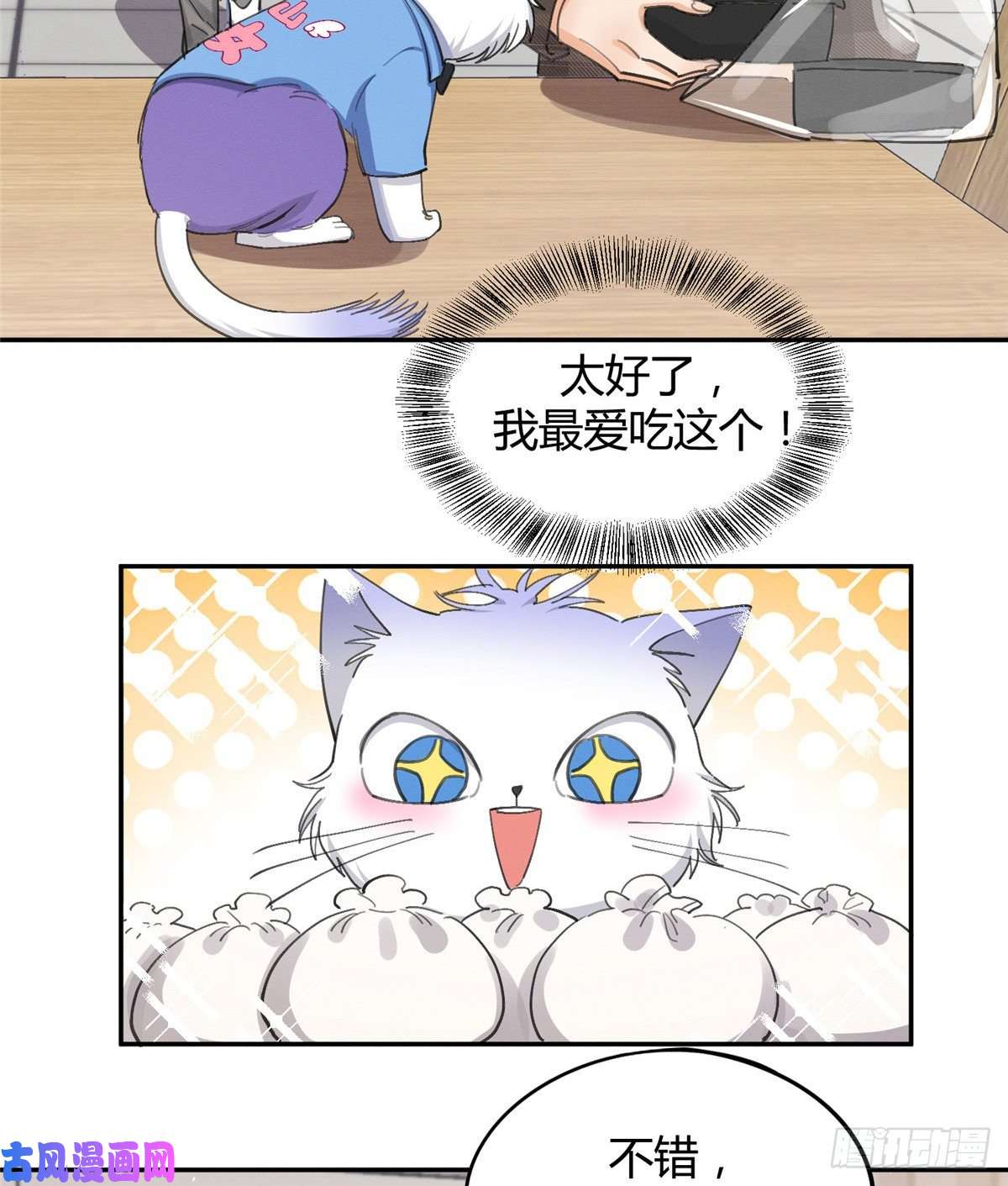 今天也要努力当只猫第14话 小仙女