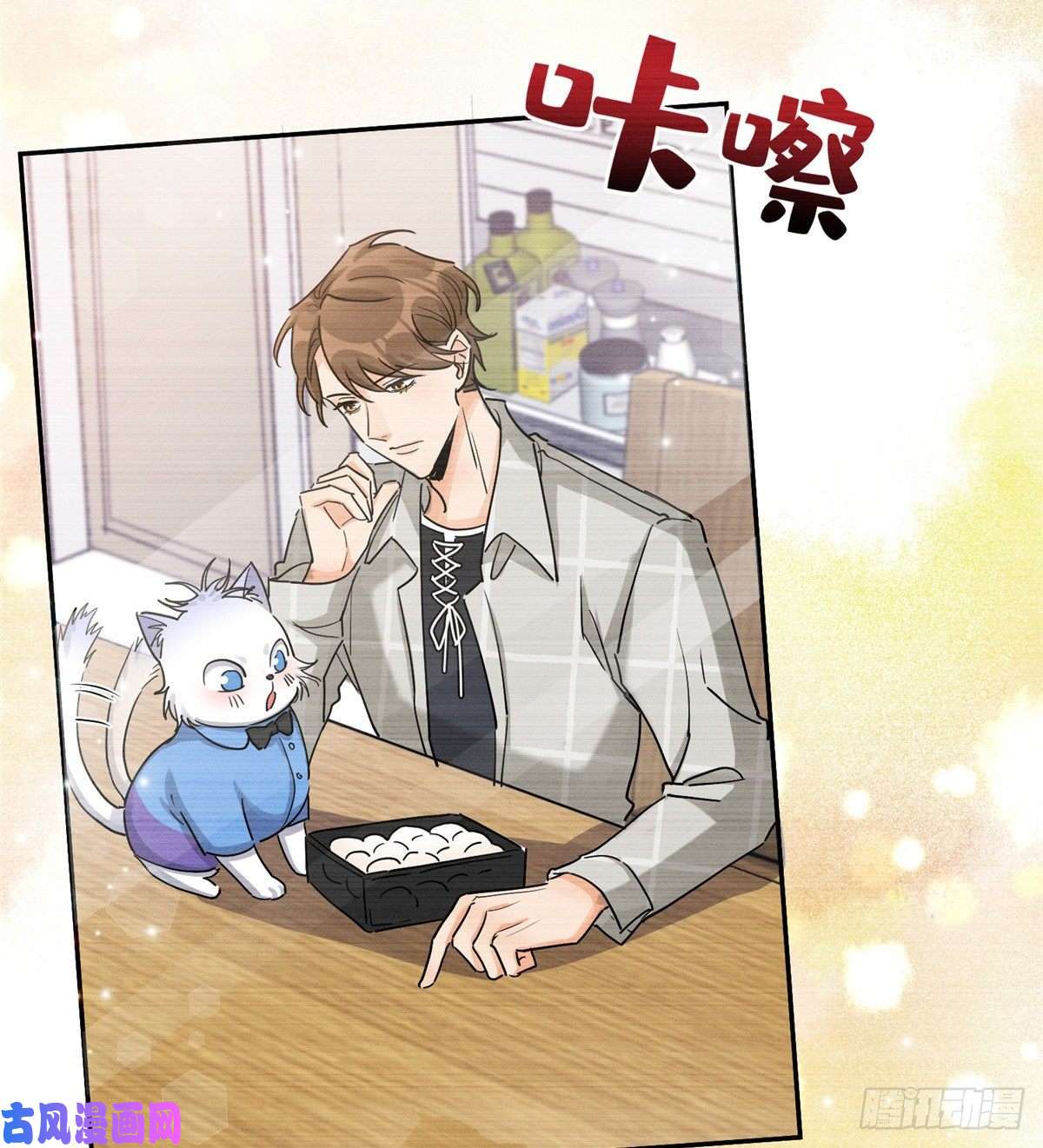 今天也要努力当只猫第14话 小仙女