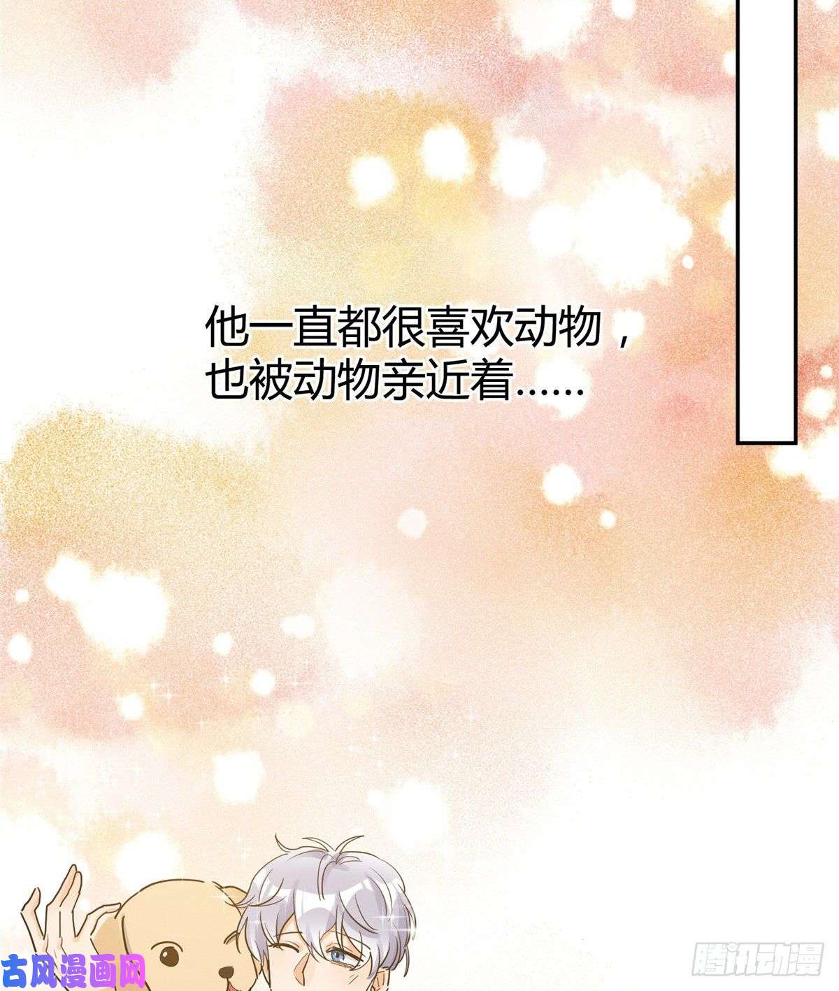 今天也要努力当只猫第14话 小仙女