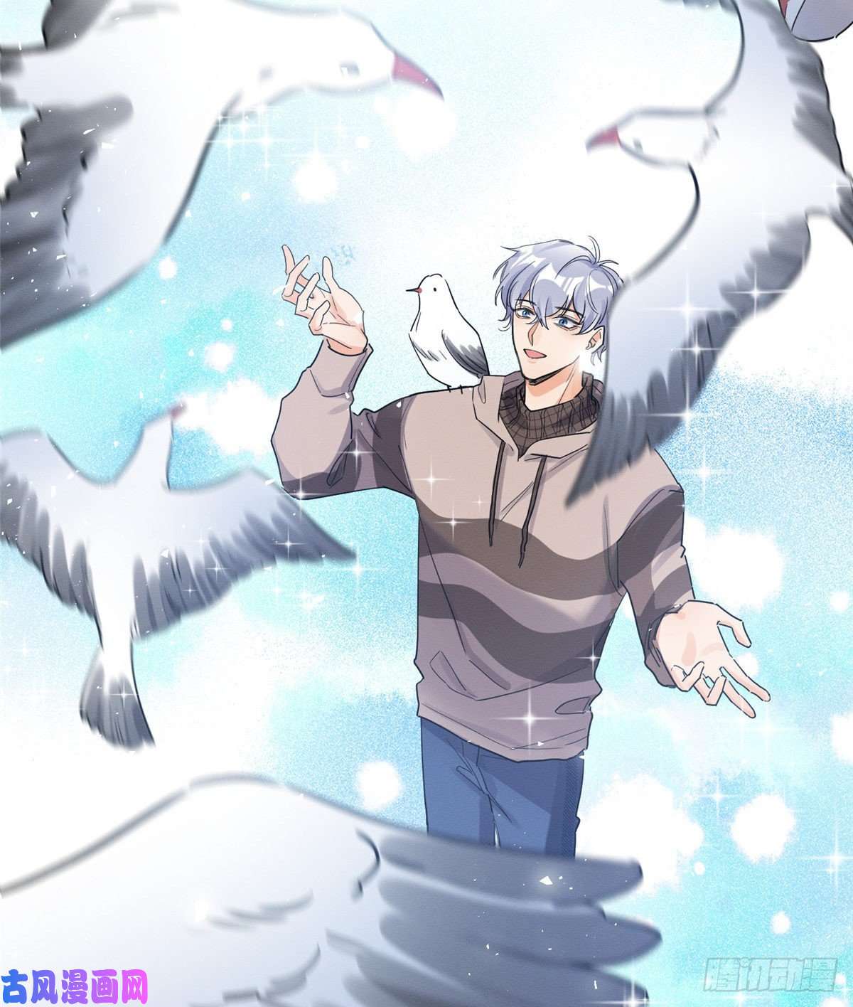 今天也要努力当只猫第14话 小仙女