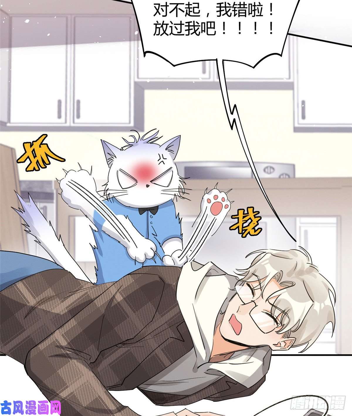 今天也要努力当只猫第14话 小仙女