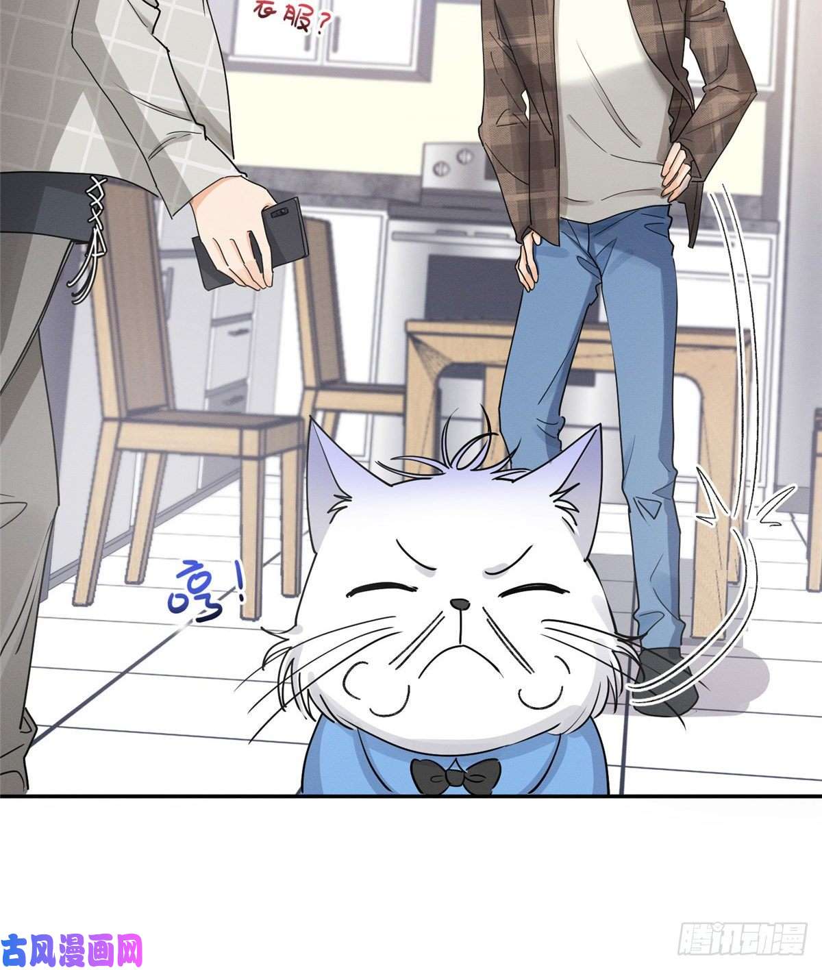 今天也要努力当只猫第14话 小仙女