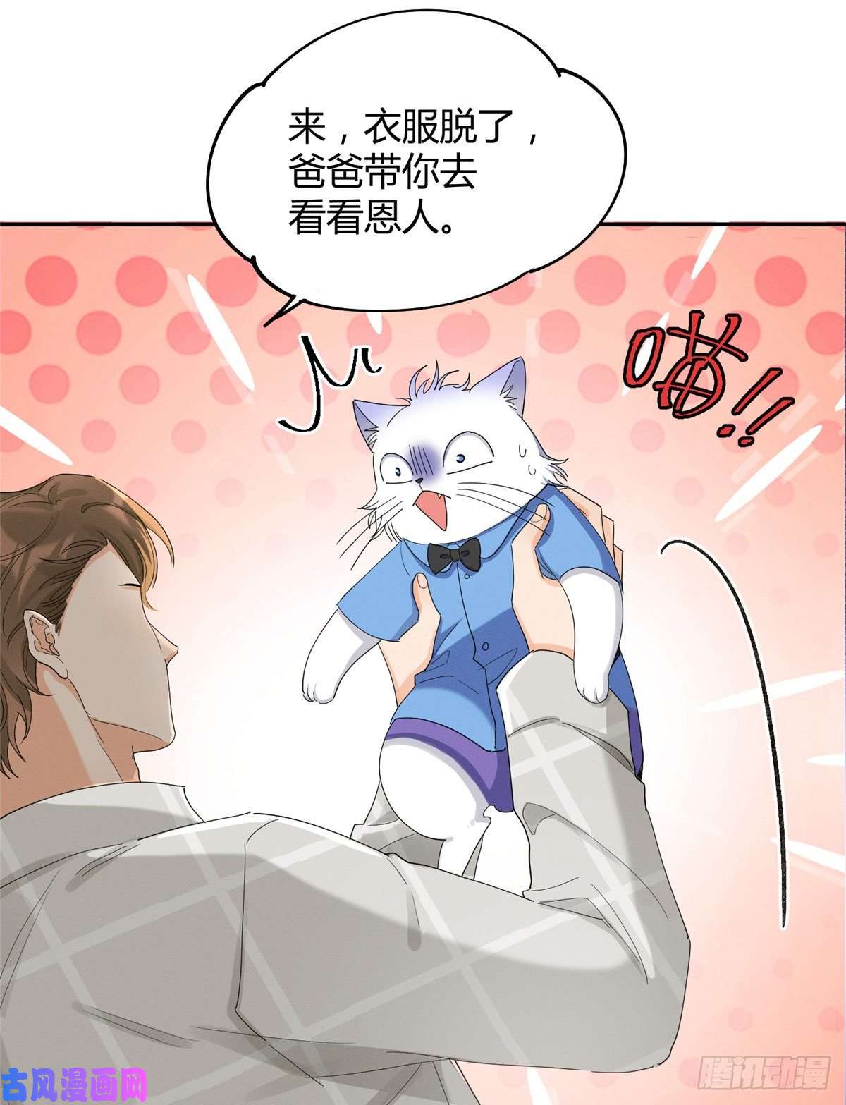 今天也要努力当只猫第15话 秘密