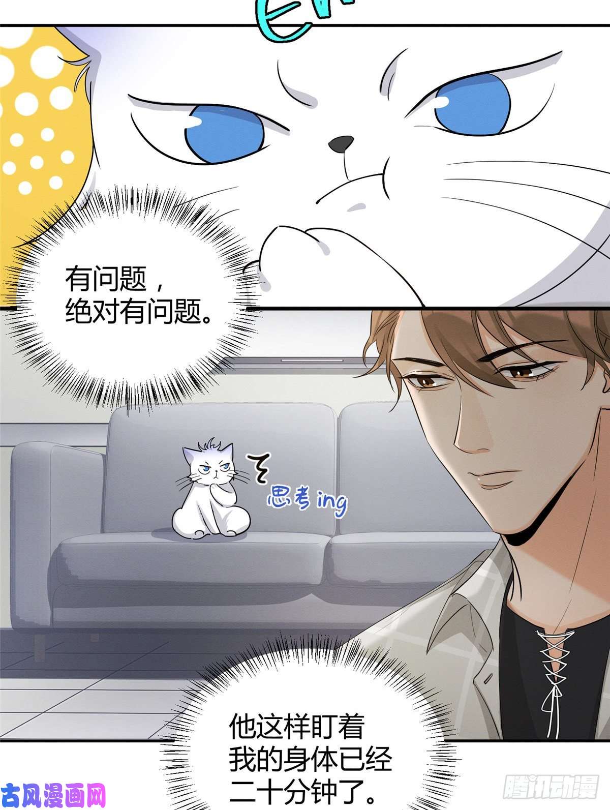 今天也要努力当只猫第15话 秘密