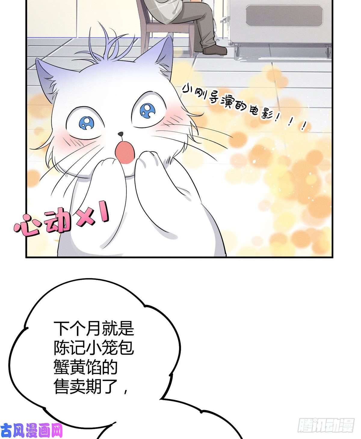 今天也要努力当只猫第15话 秘密