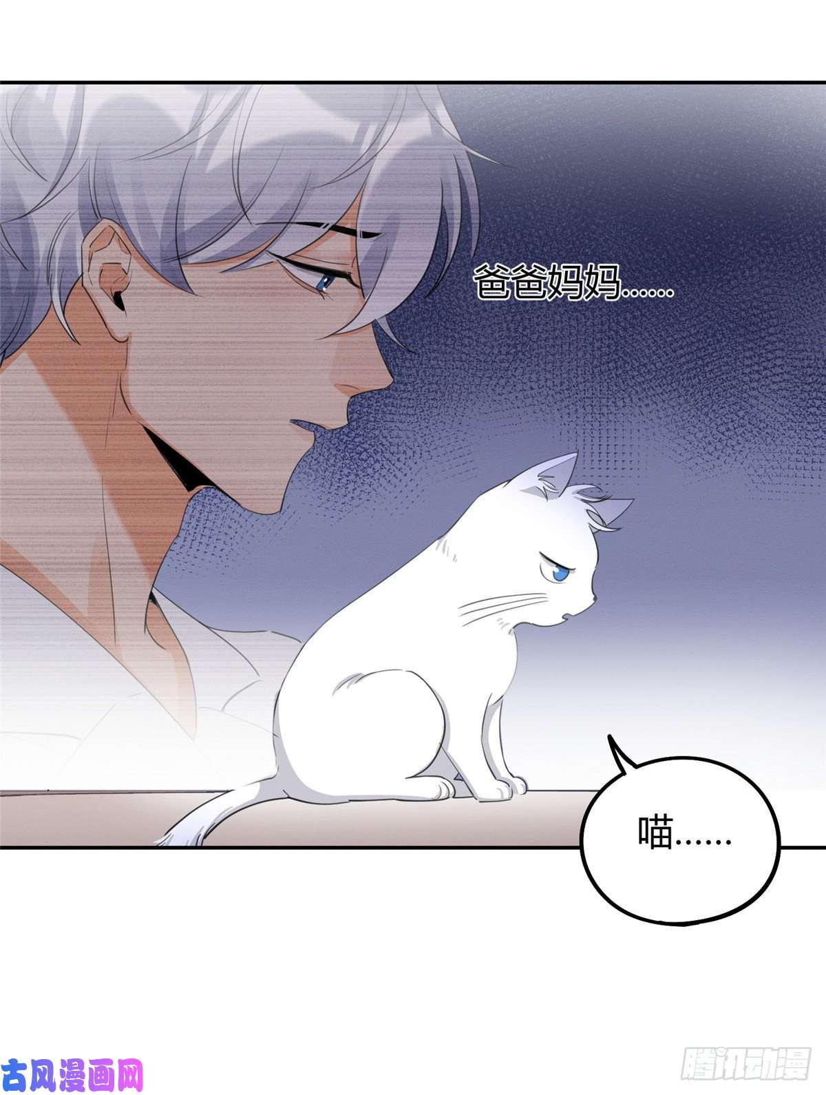 今天也要努力当只猫第15话 秘密