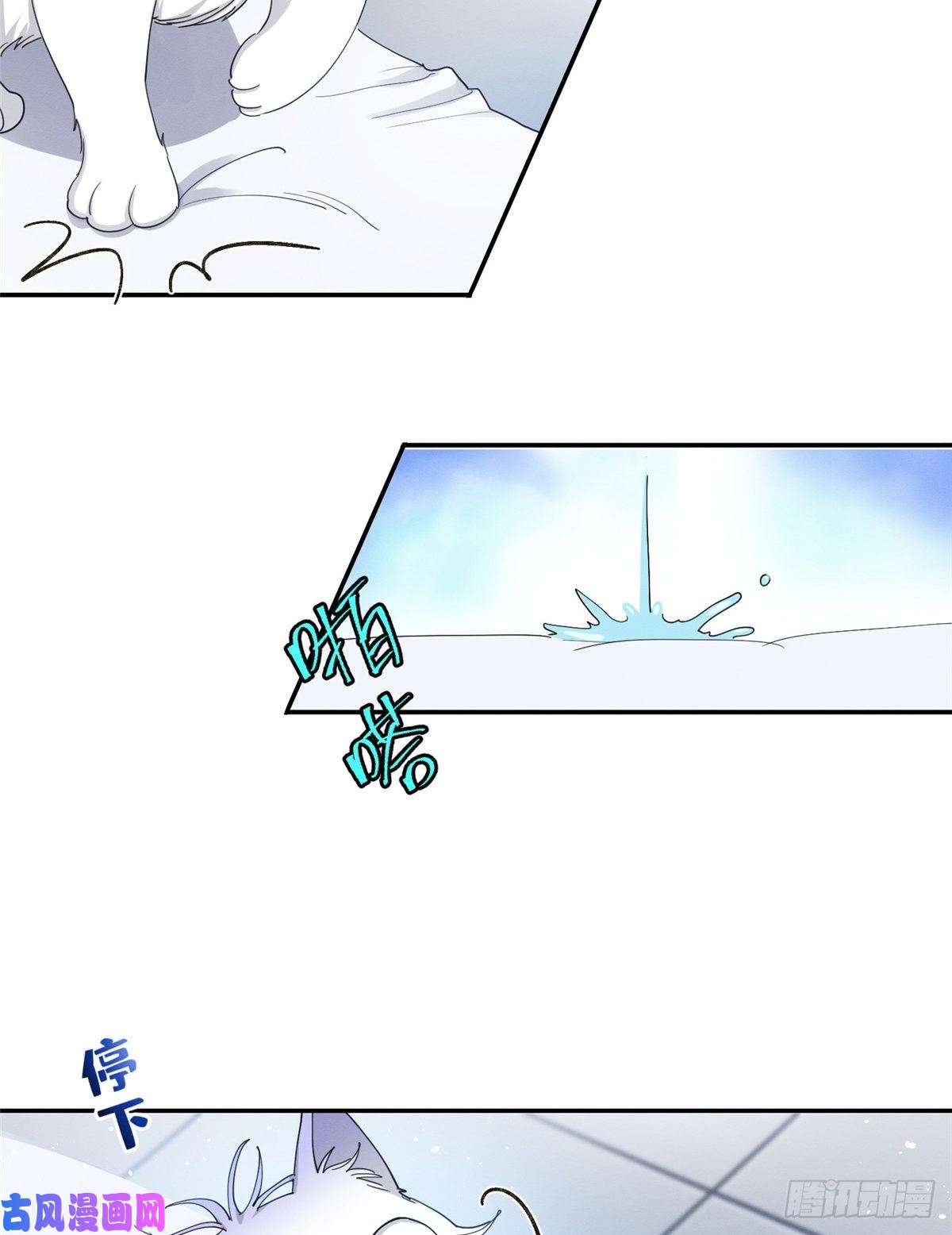 今天也要努力当只猫第15话 秘密