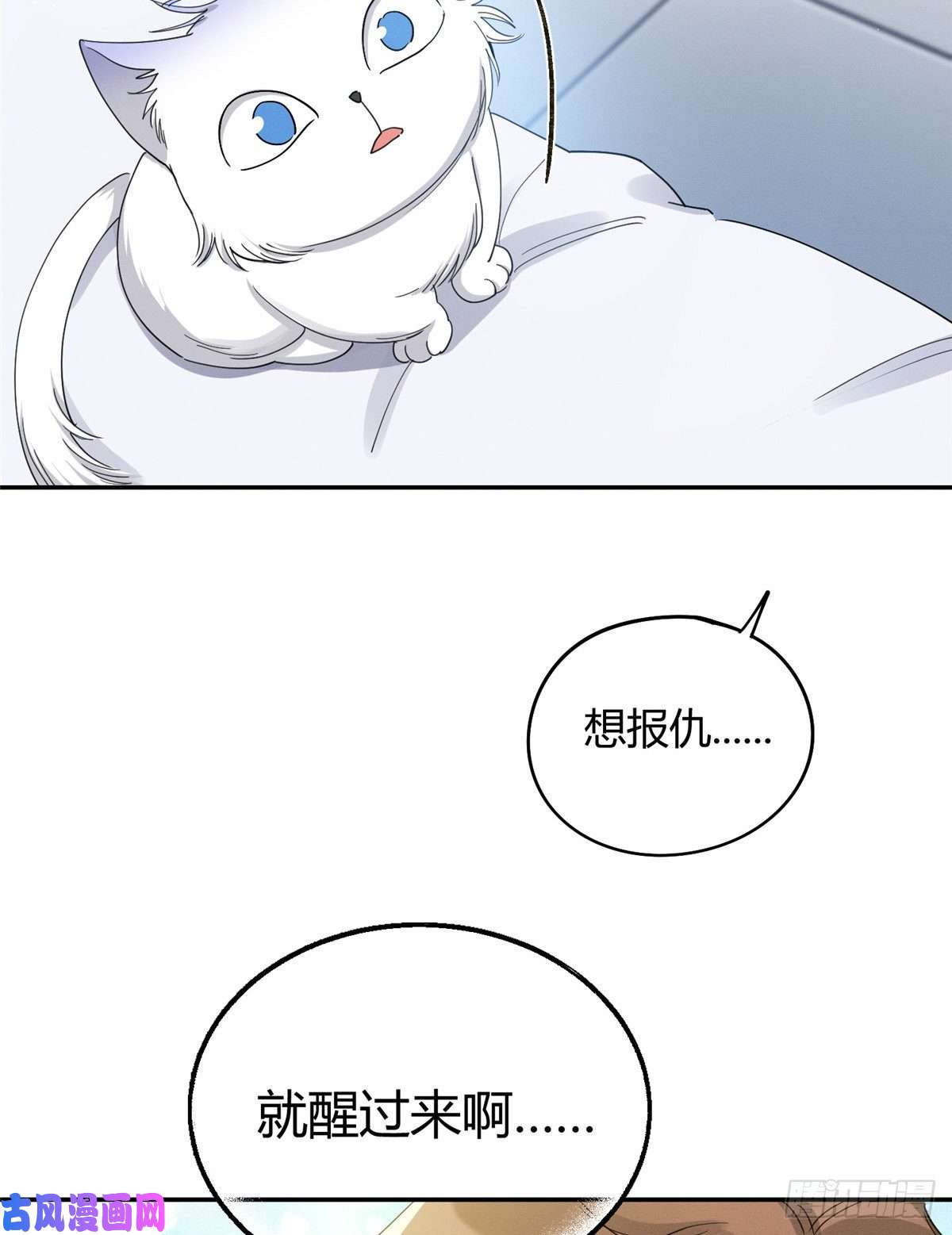 今天也要努力当只猫第15话 秘密