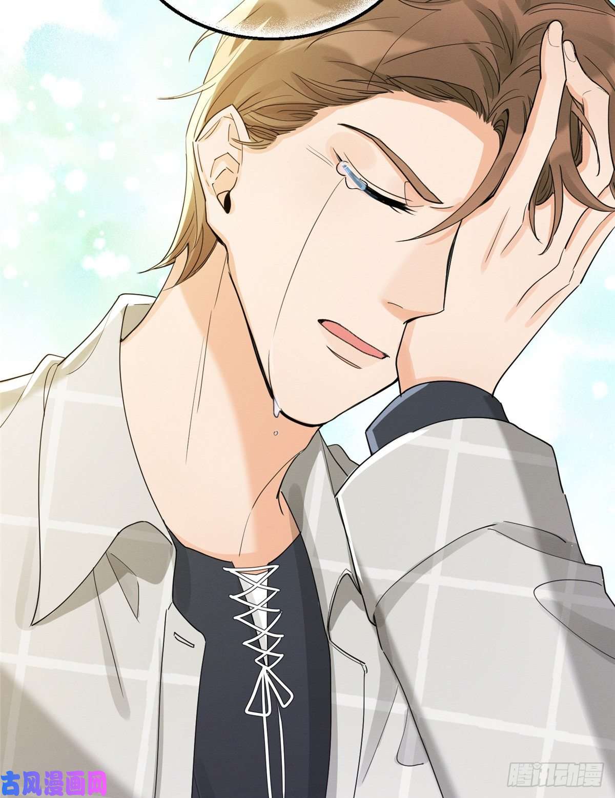 今天也要努力当只猫第15话 秘密