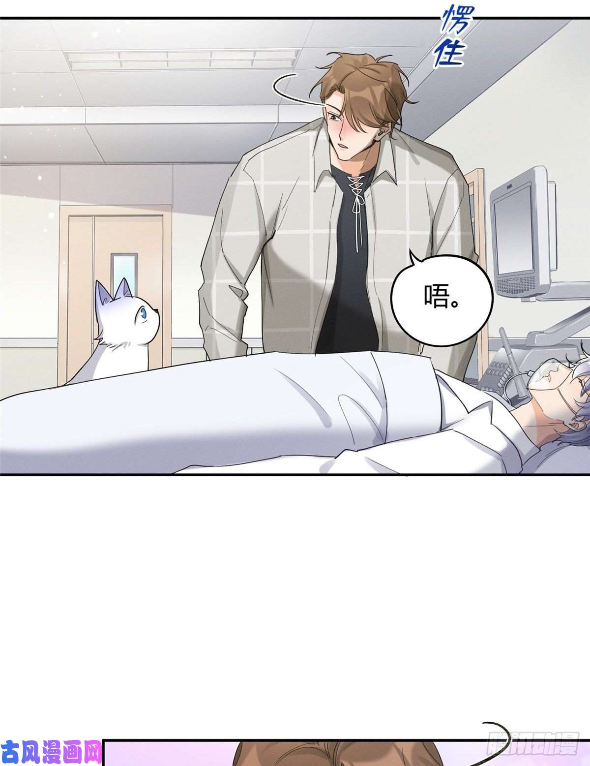 今天也要努力当只猫第15话 秘密