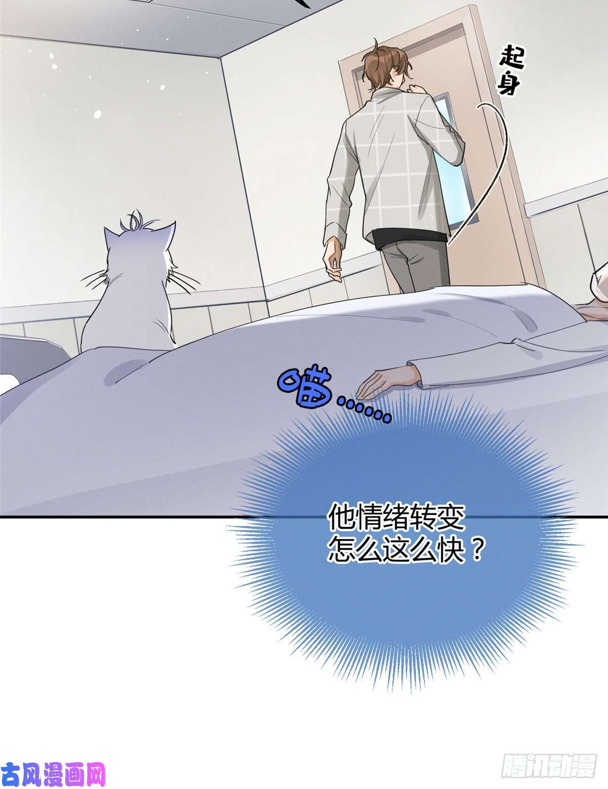 今天也要努力当只猫第15话 秘密