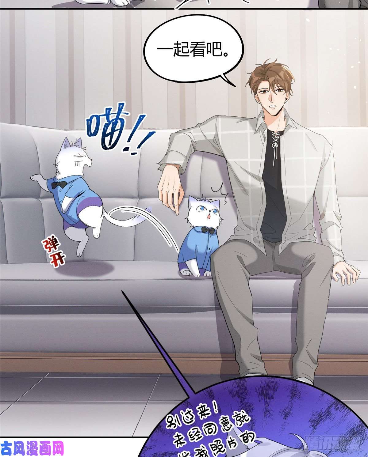 今天也要努力当只猫第15话 秘密