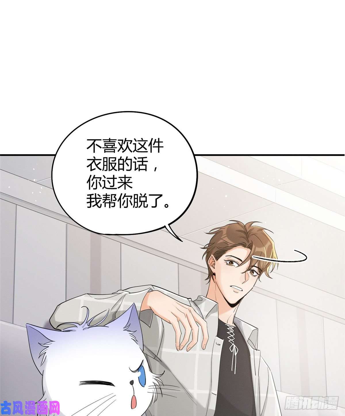 今天也要努力当只猫第15话 秘密