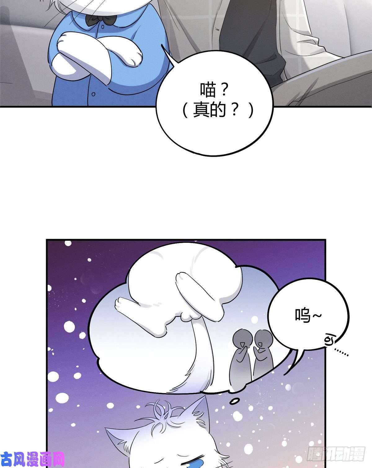 今天也要努力当只猫第15话 秘密