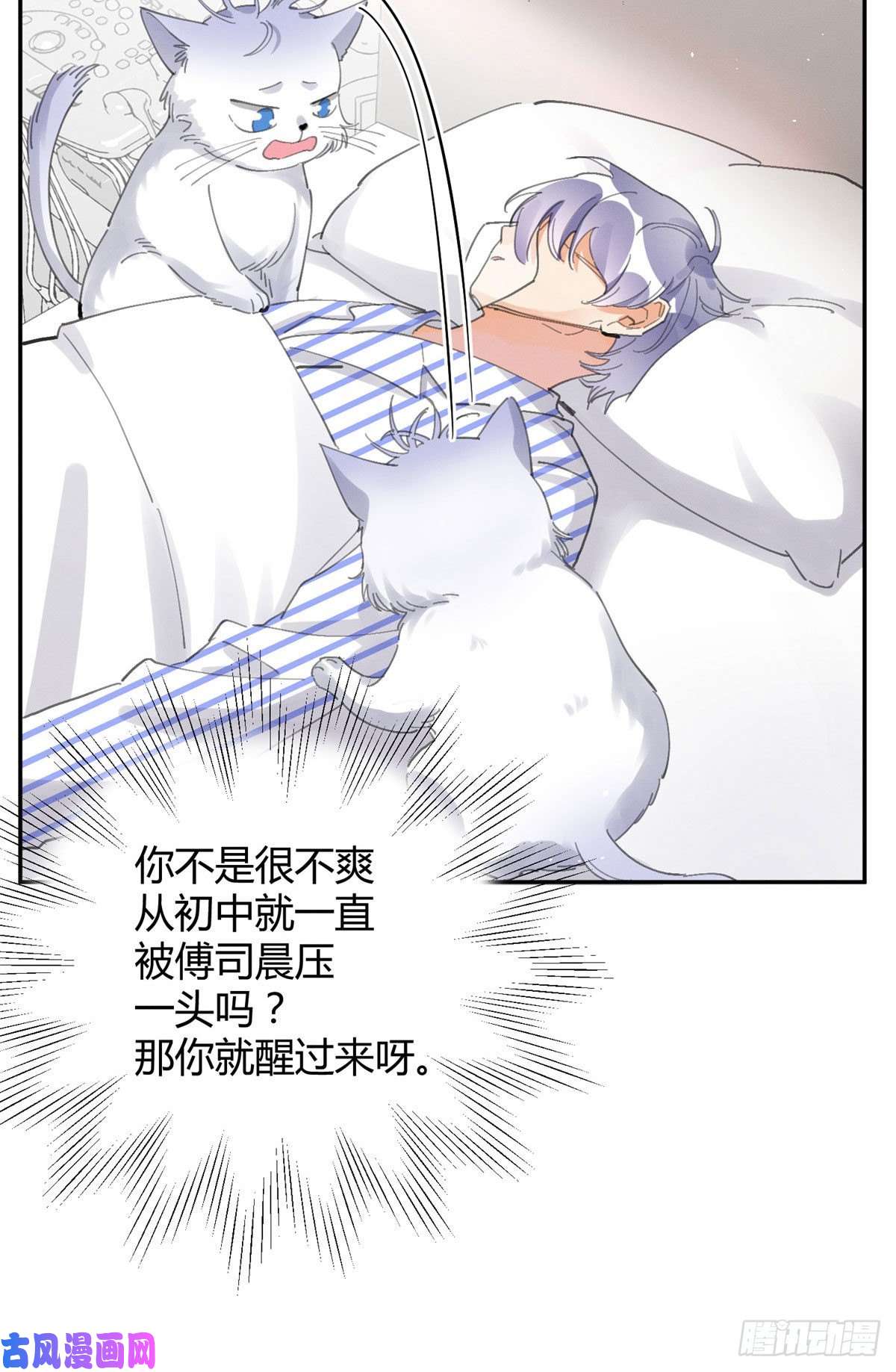 今天也要努力当只猫第16话 你哭了？