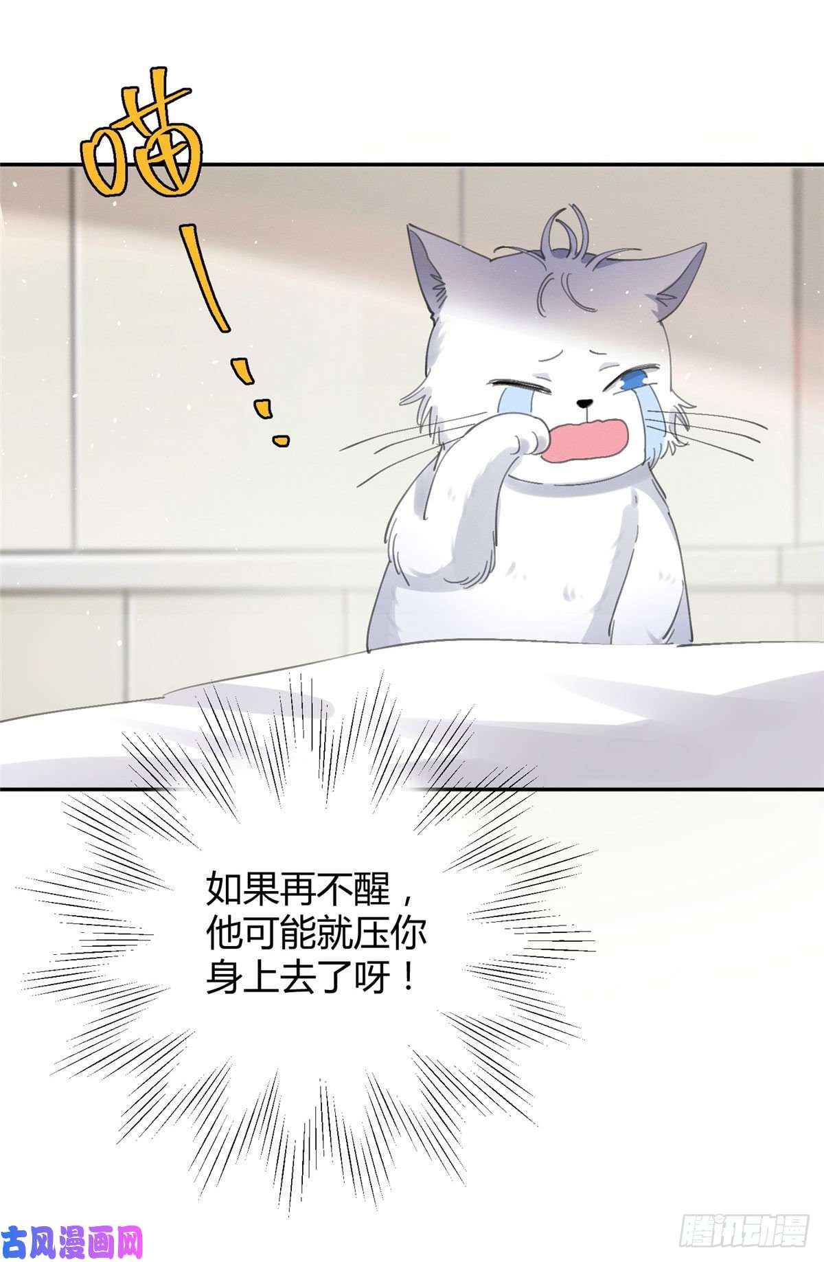 今天也要努力当只猫第16话 你哭了？