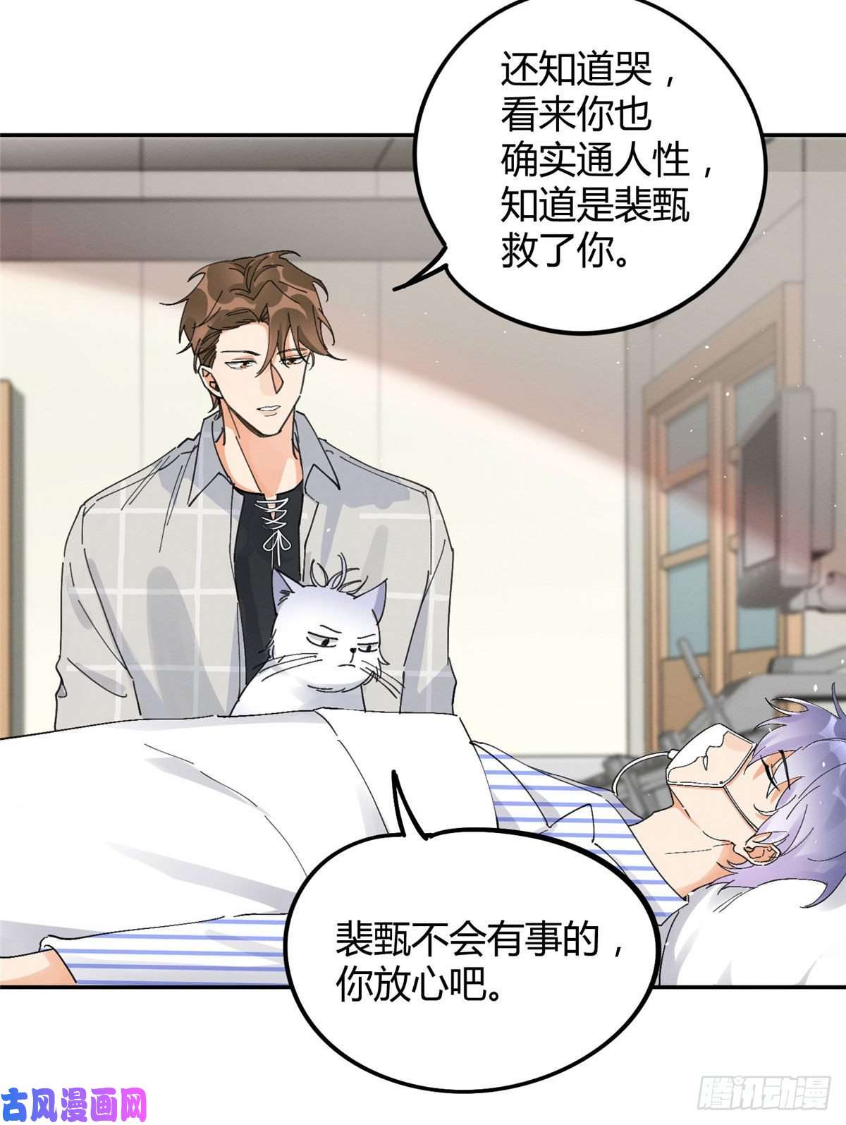 今天也要努力当只猫第16话 你哭了？