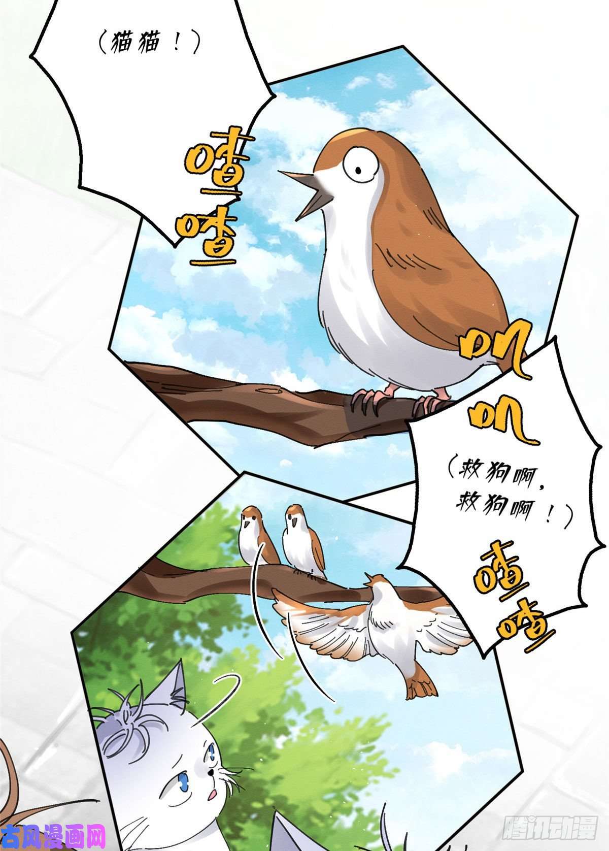 今天也要努力当只猫第16话 你哭了？