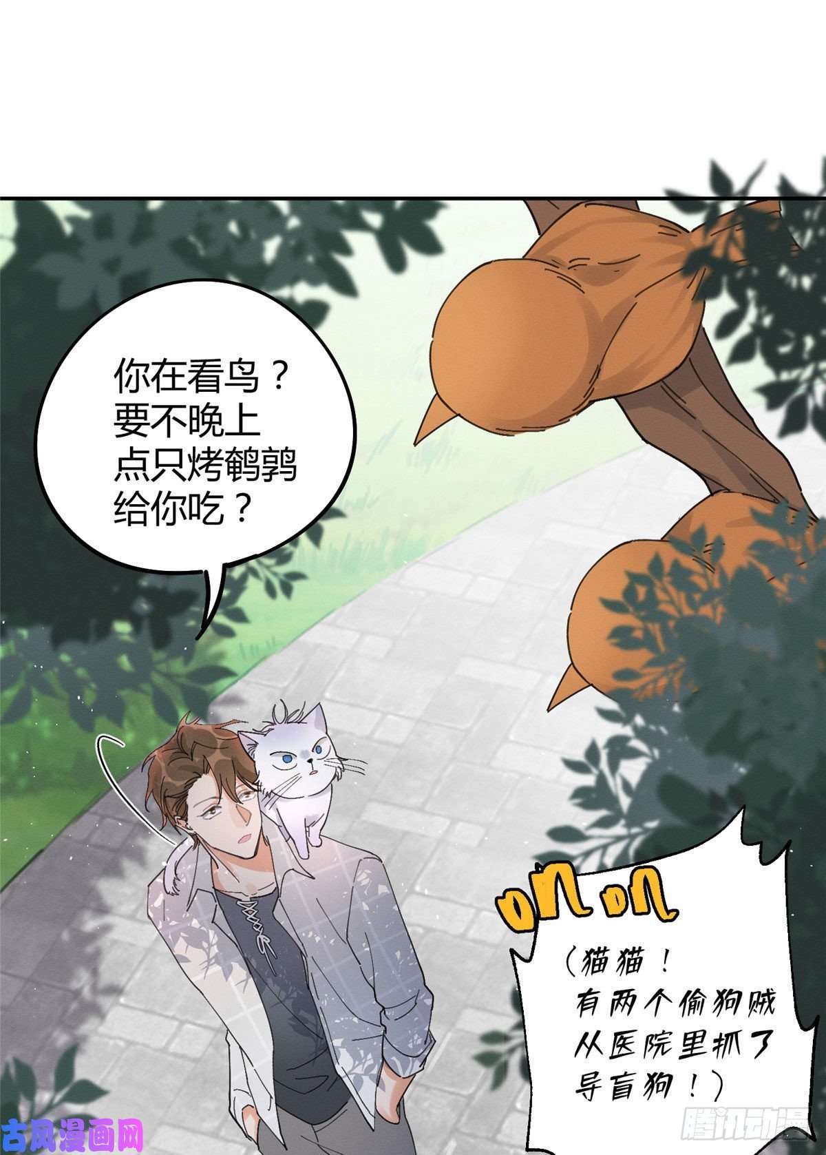 今天也要努力当只猫第16话 你哭了？