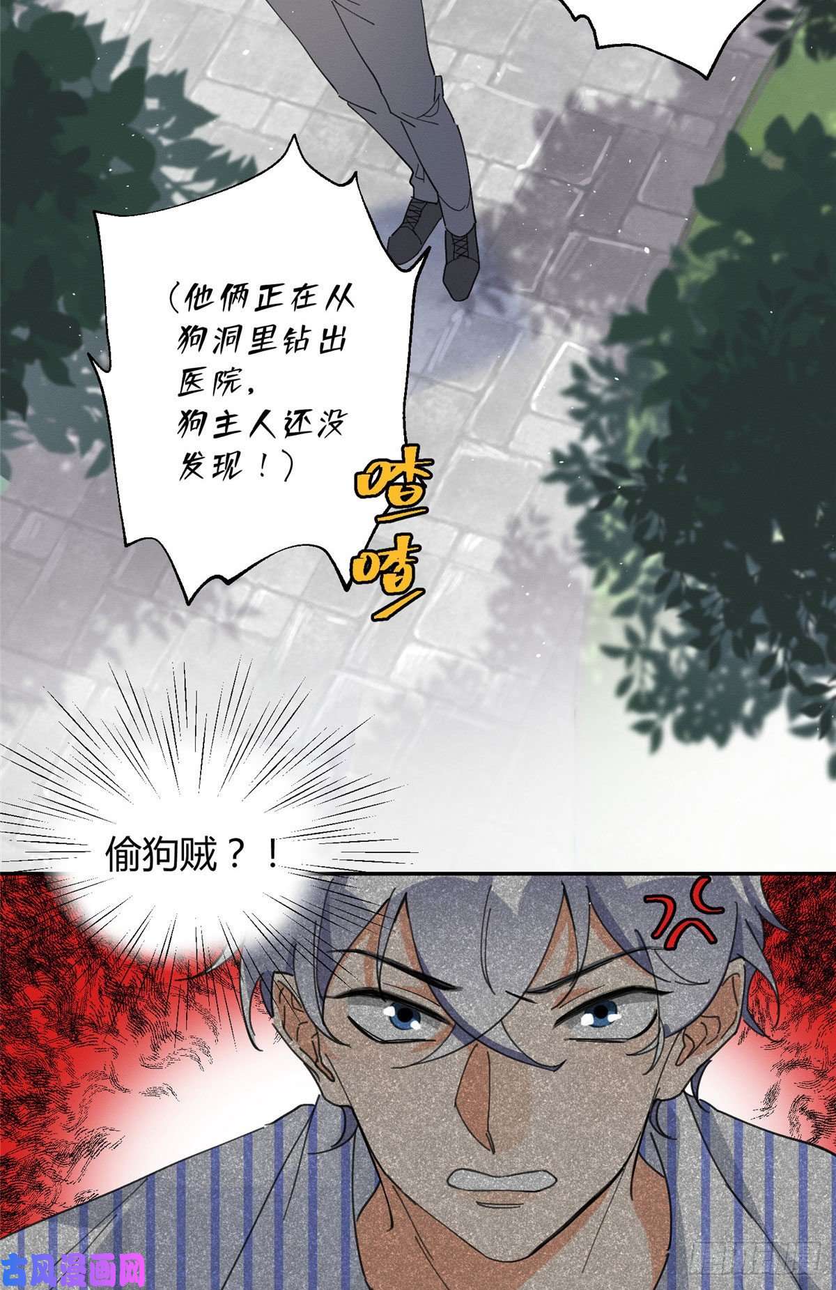 今天也要努力当只猫第16话 你哭了？