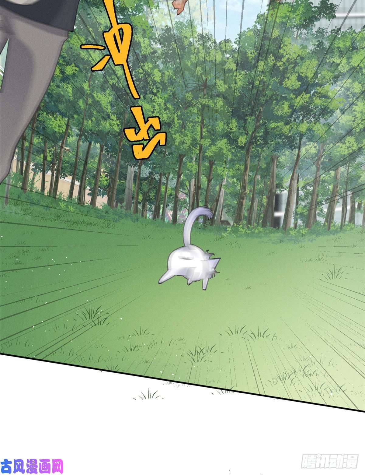 今天也要努力当只猫第16话 你哭了？