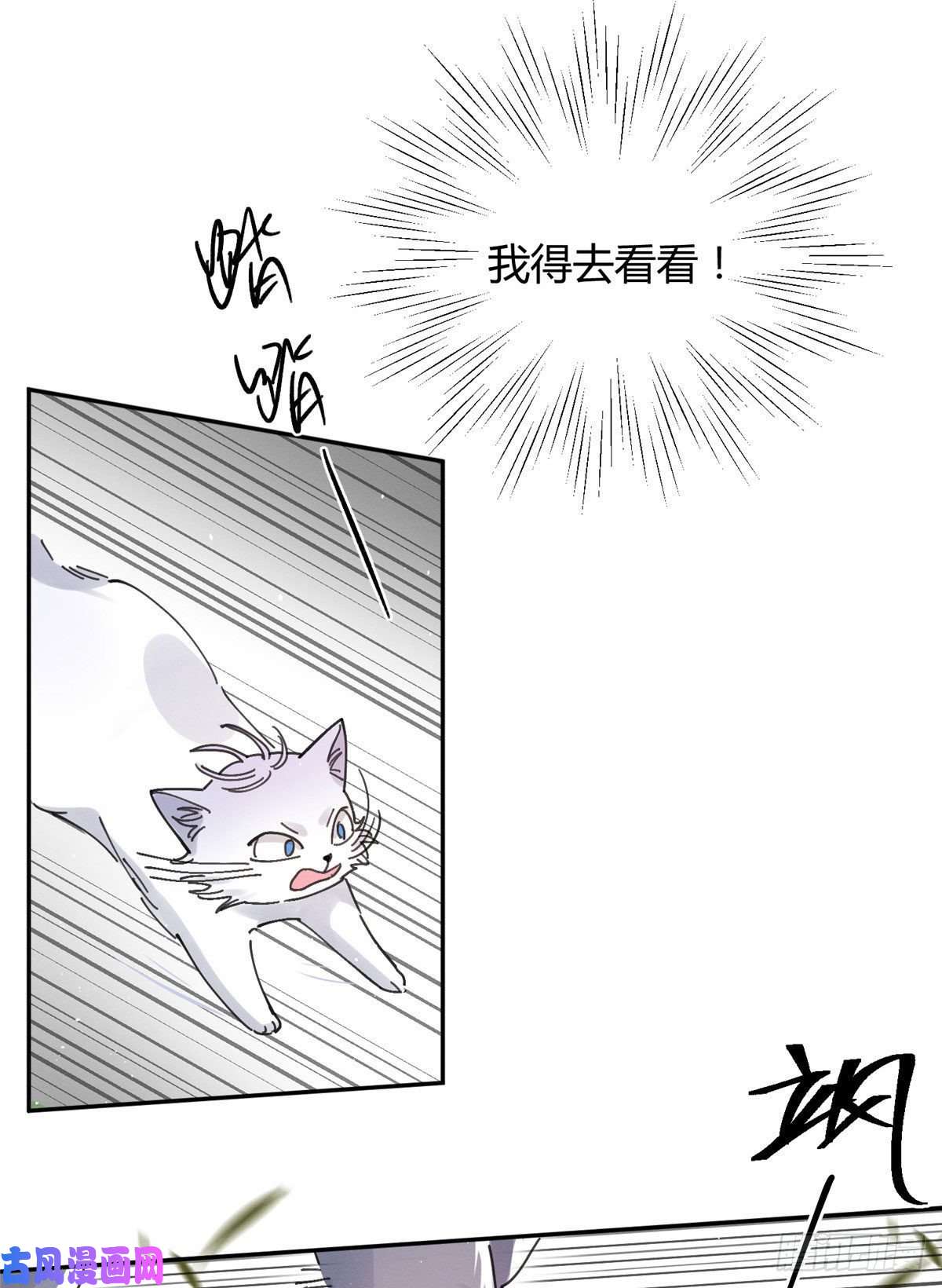 今天也要努力当只猫第16话 你哭了？