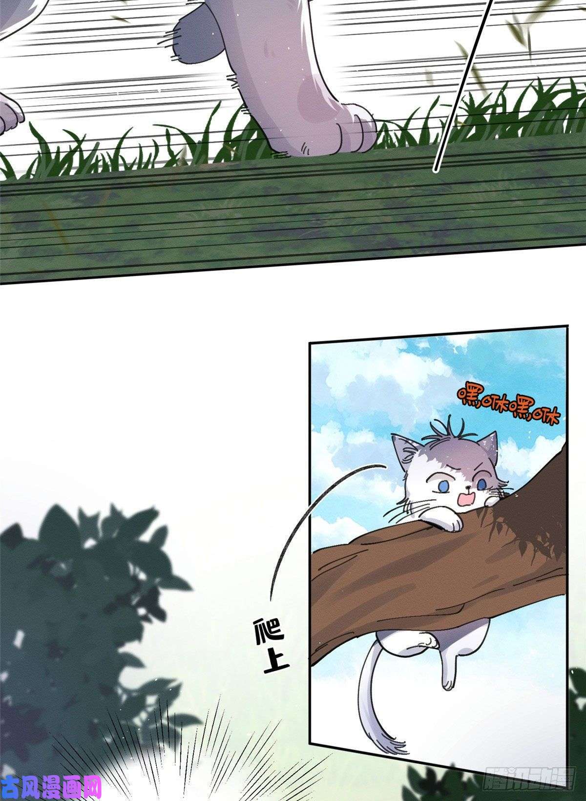 今天也要努力当只猫第16话 你哭了？