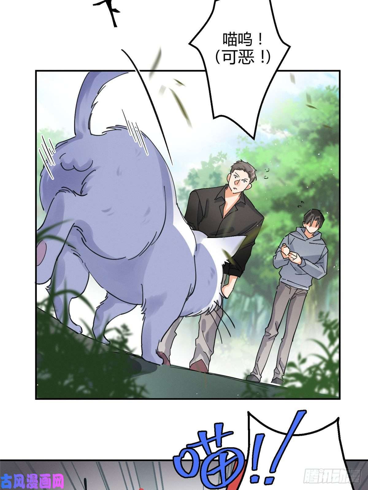 今天也要努力当只猫第16话 你哭了？