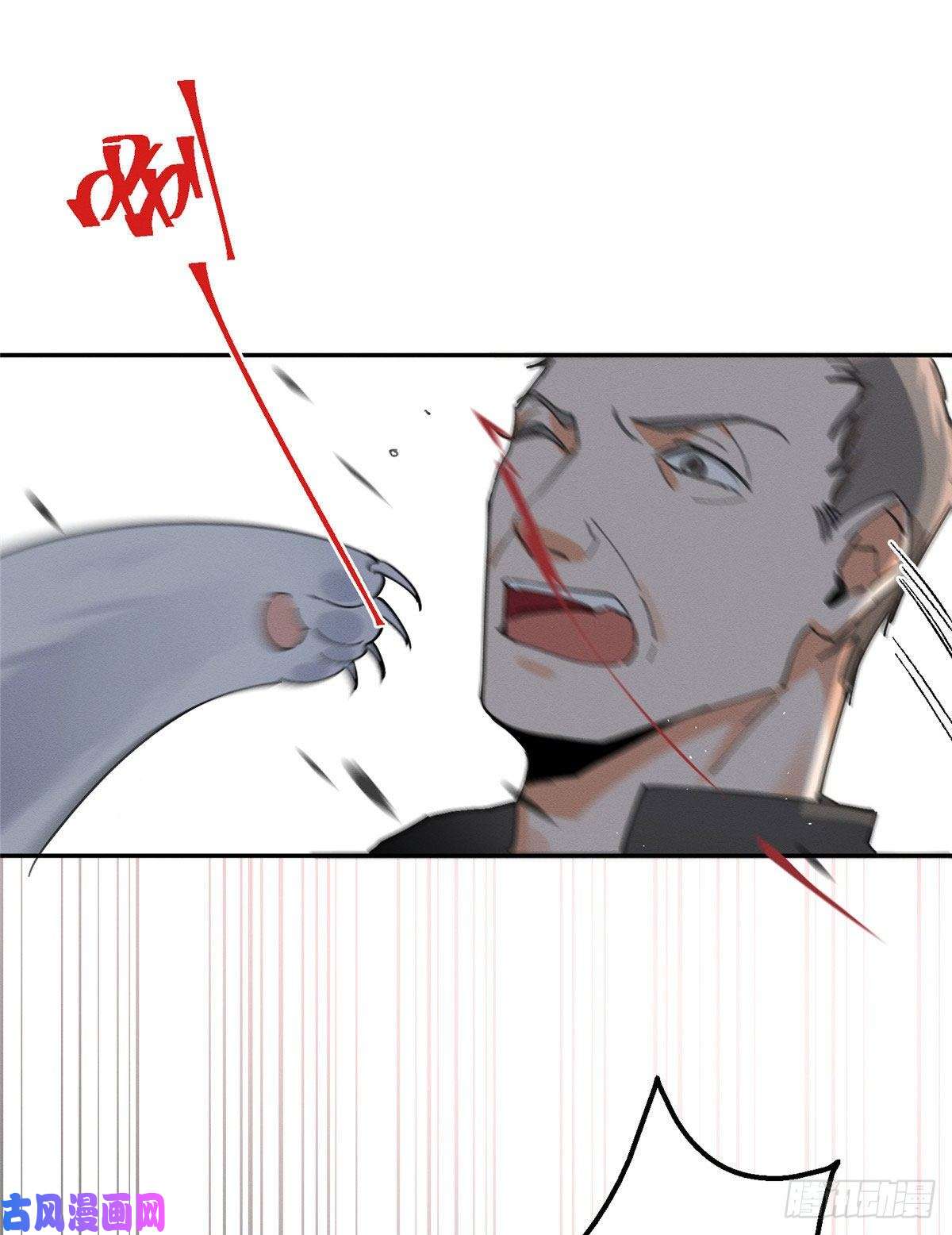 今天也要努力当只猫第16话 你哭了？