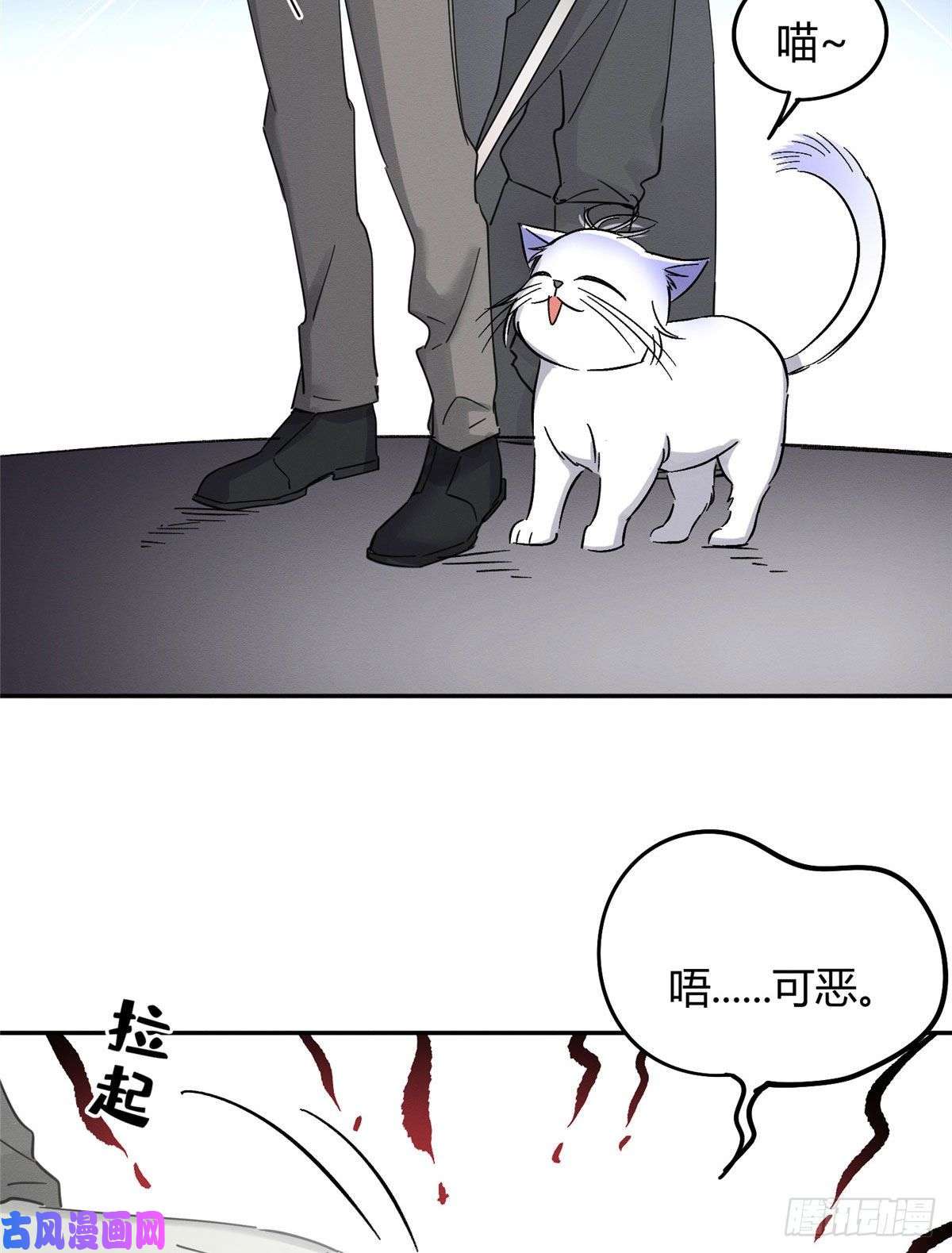 今天也要努力当只猫第17话 签名！