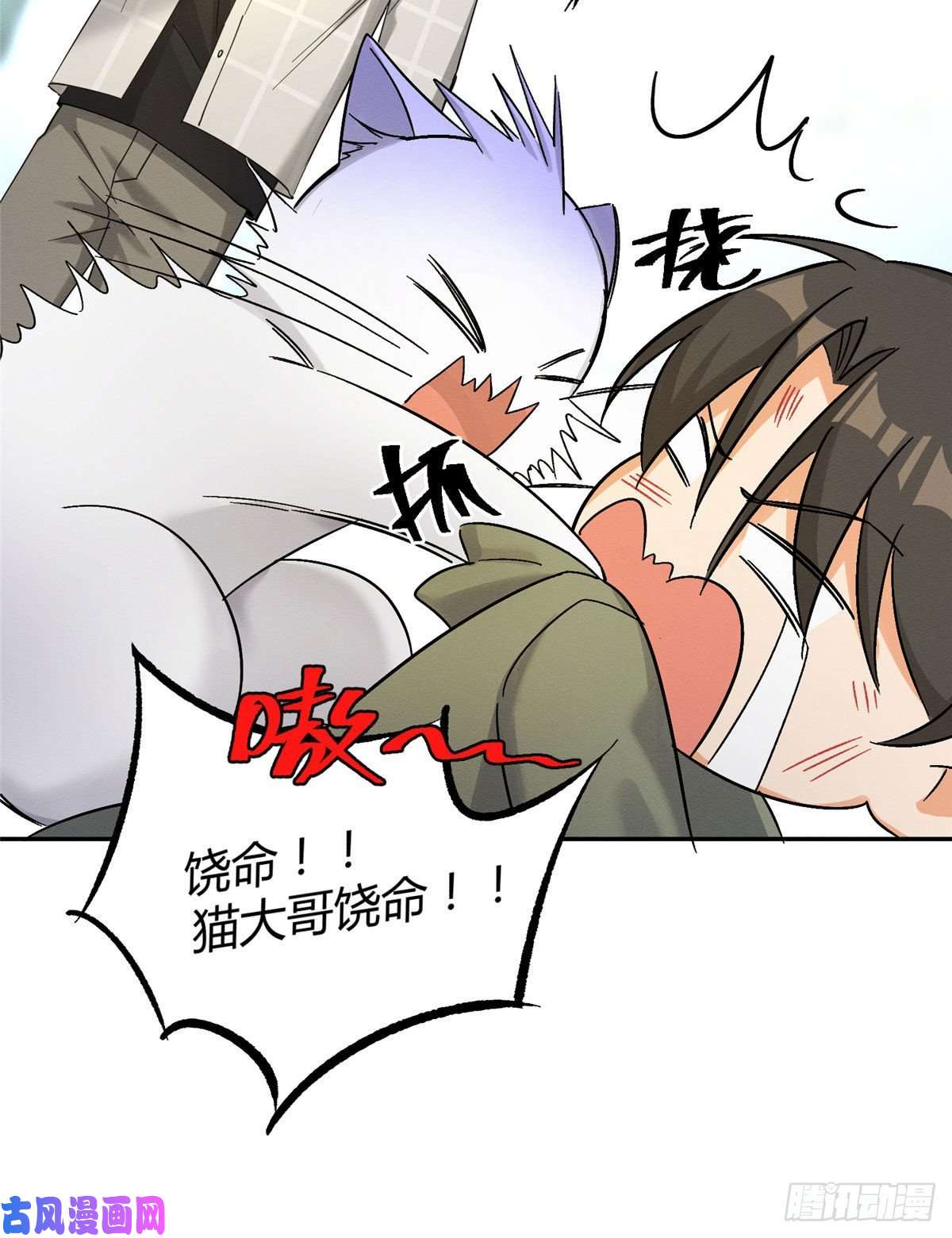 今天也要努力当只猫第17话 签名！