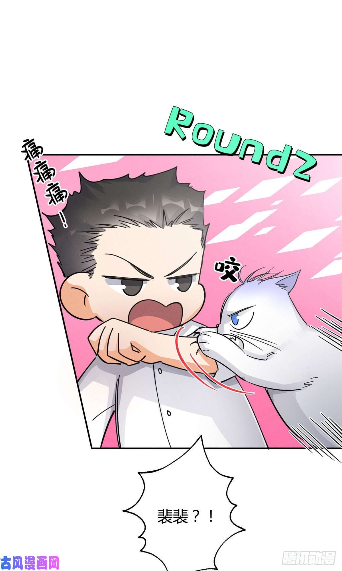 今天也要努力当只猫第17话 签名！